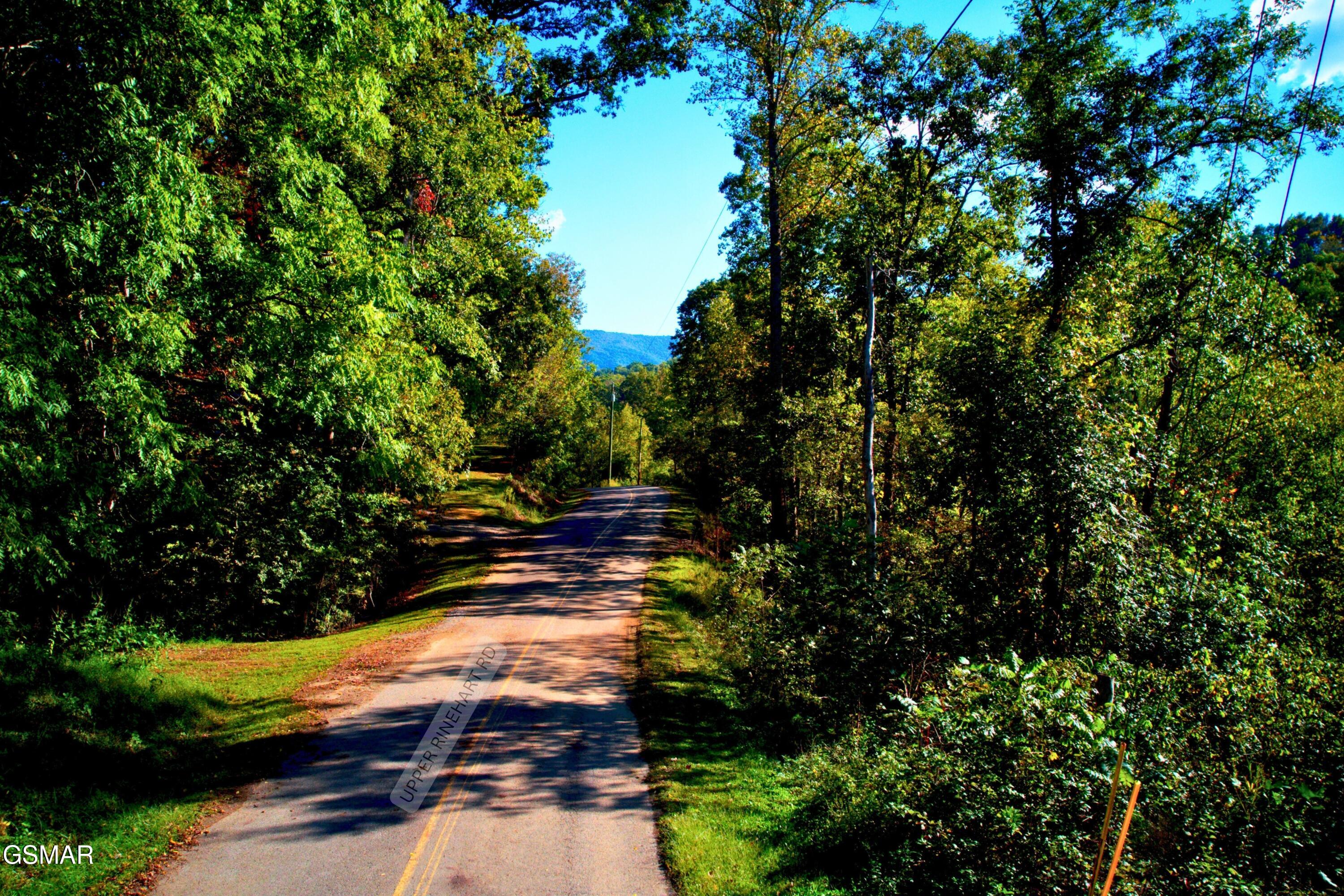 6 Upper Rinehart Road Dandridge TN 37725