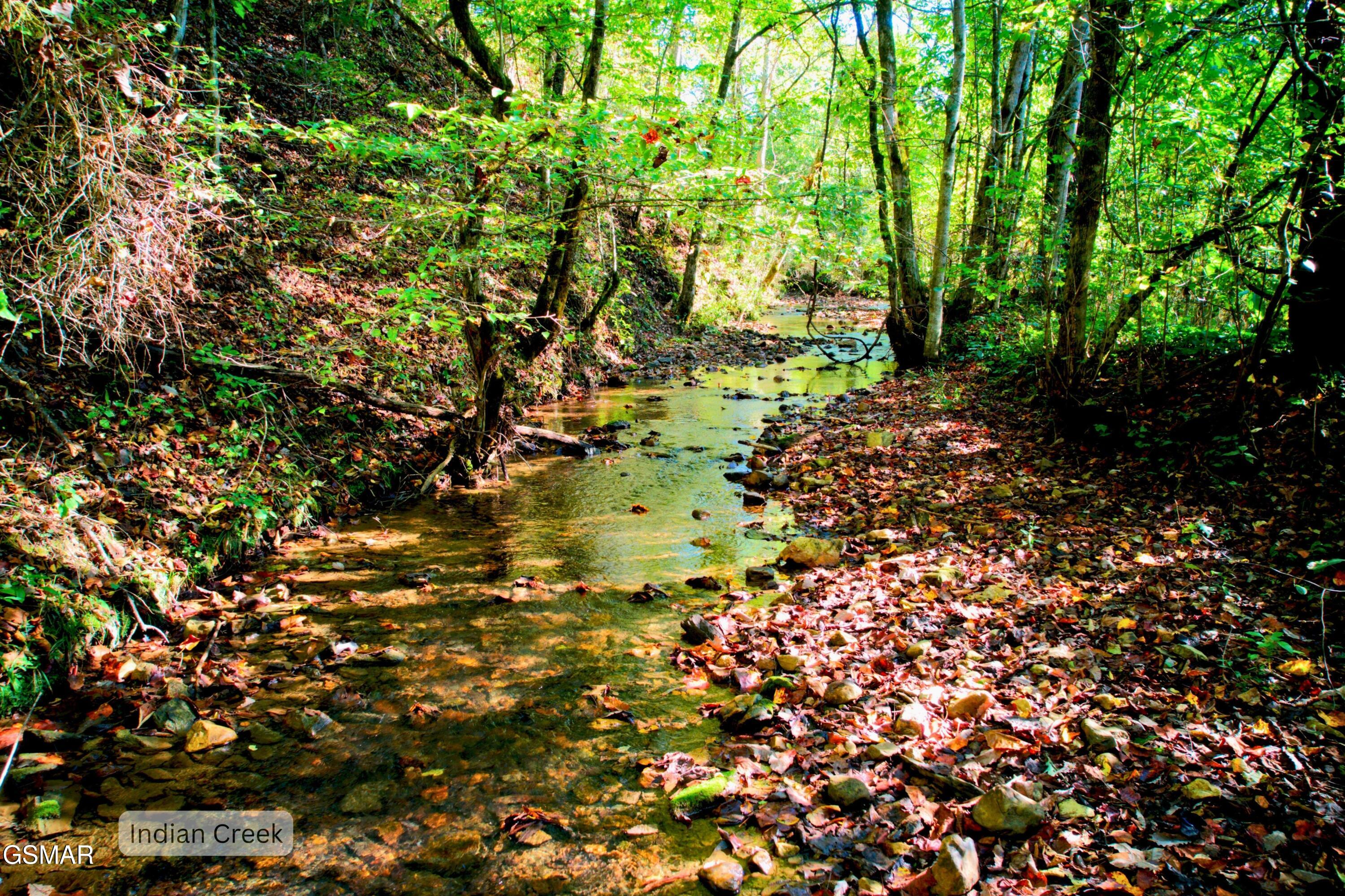 6 Upper Rinehart Road Dandridge TN 37725
