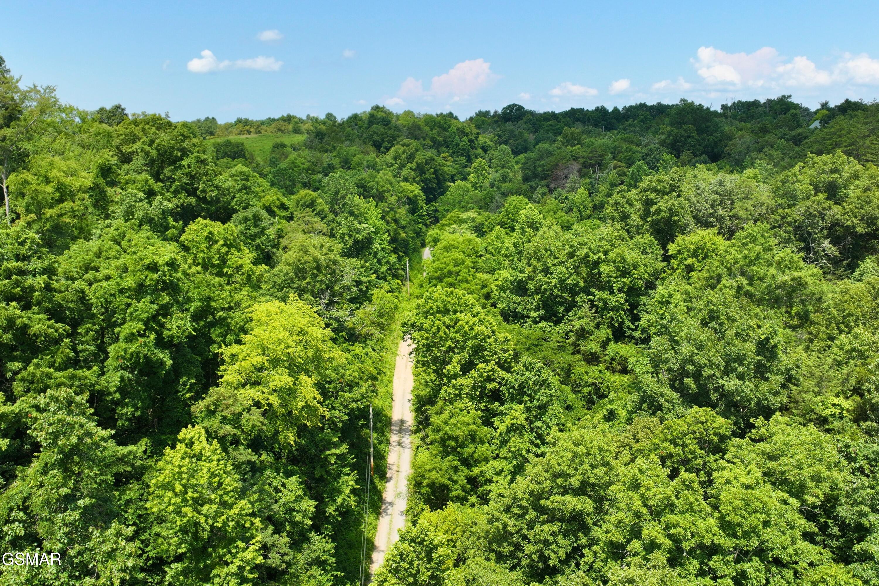 6 Upper Rinehart Road Dandridge TN 37725