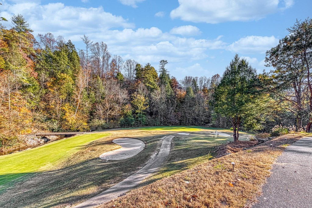 815 Red Fox Trail Gatlinburg TN 37738