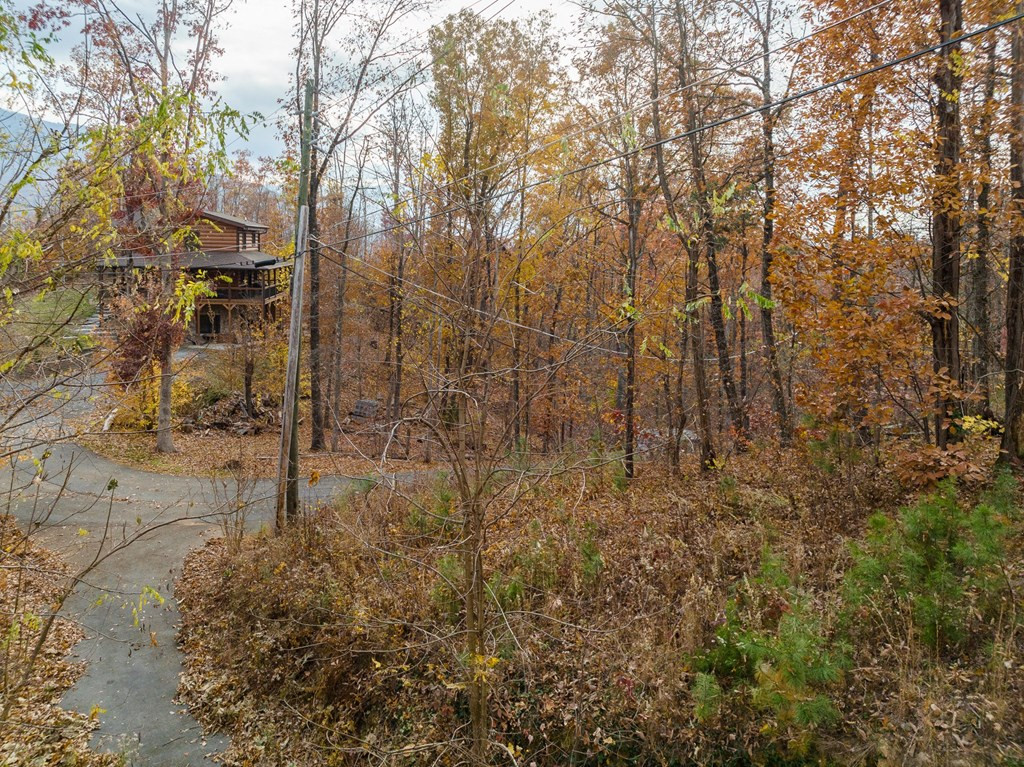 815 Red Fox Trail Gatlinburg TN 37738