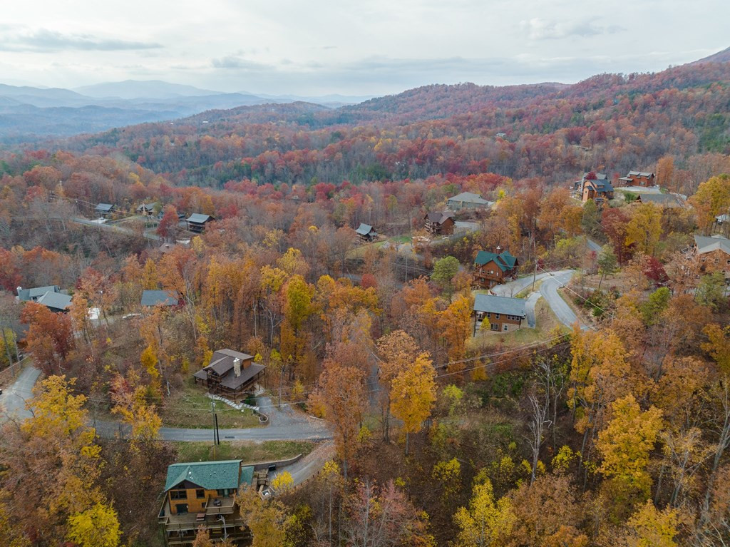 815 Red Fox Trail Gatlinburg TN 37738