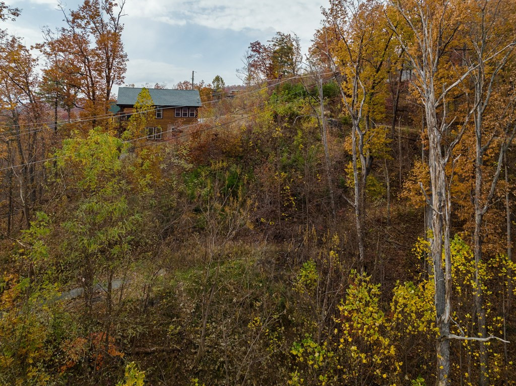 815 Red Fox Trail Gatlinburg TN 37738