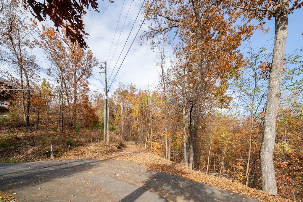 815 Red Fox Trail Gatlinburg TN 37738