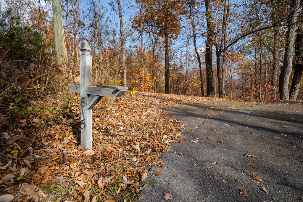 815 Red Fox Trail Gatlinburg TN 37738