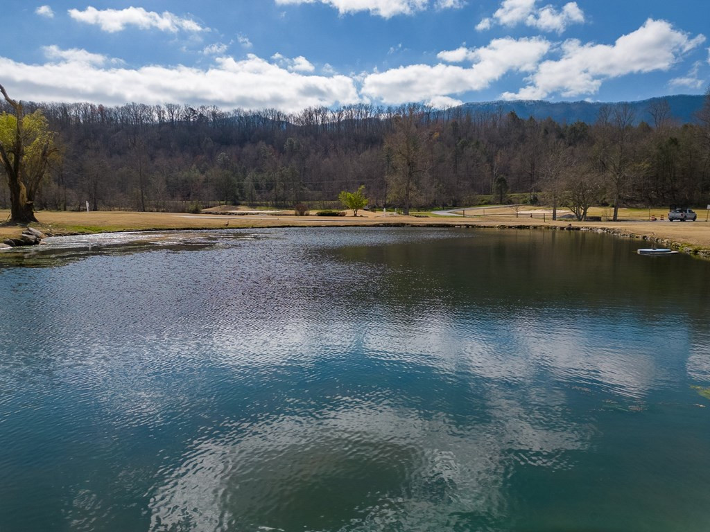 815 Red Fox Trail Gatlinburg TN 37738