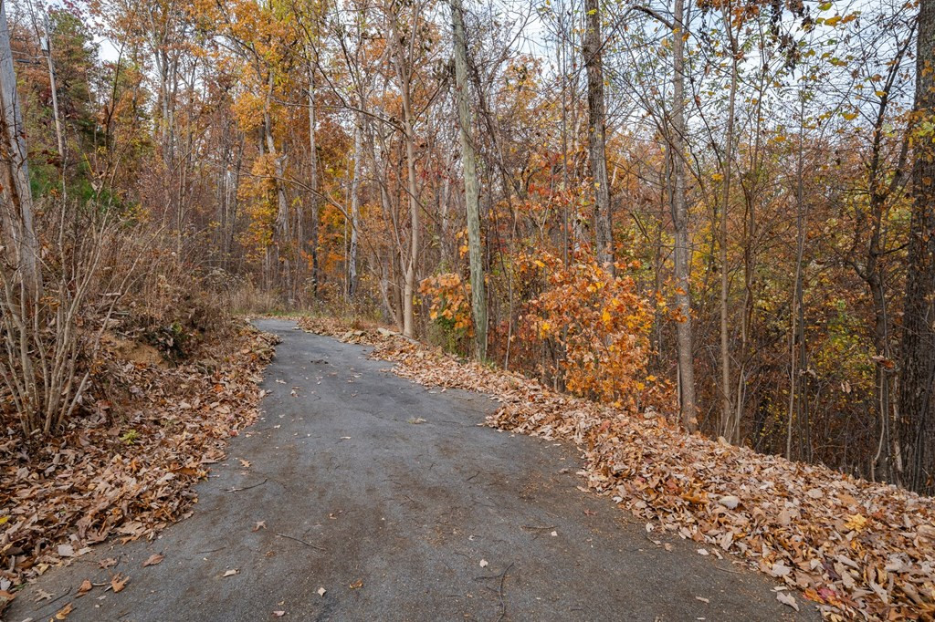815 Red Fox Trail Gatlinburg TN 37738