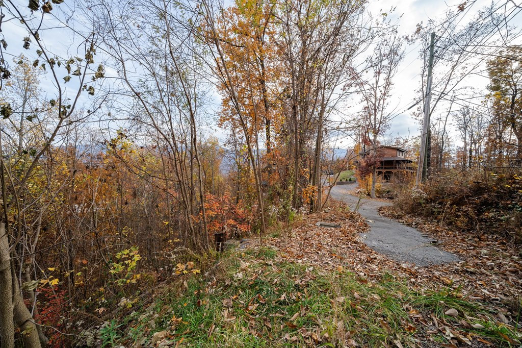 815 Red Fox Trail Gatlinburg TN 37738