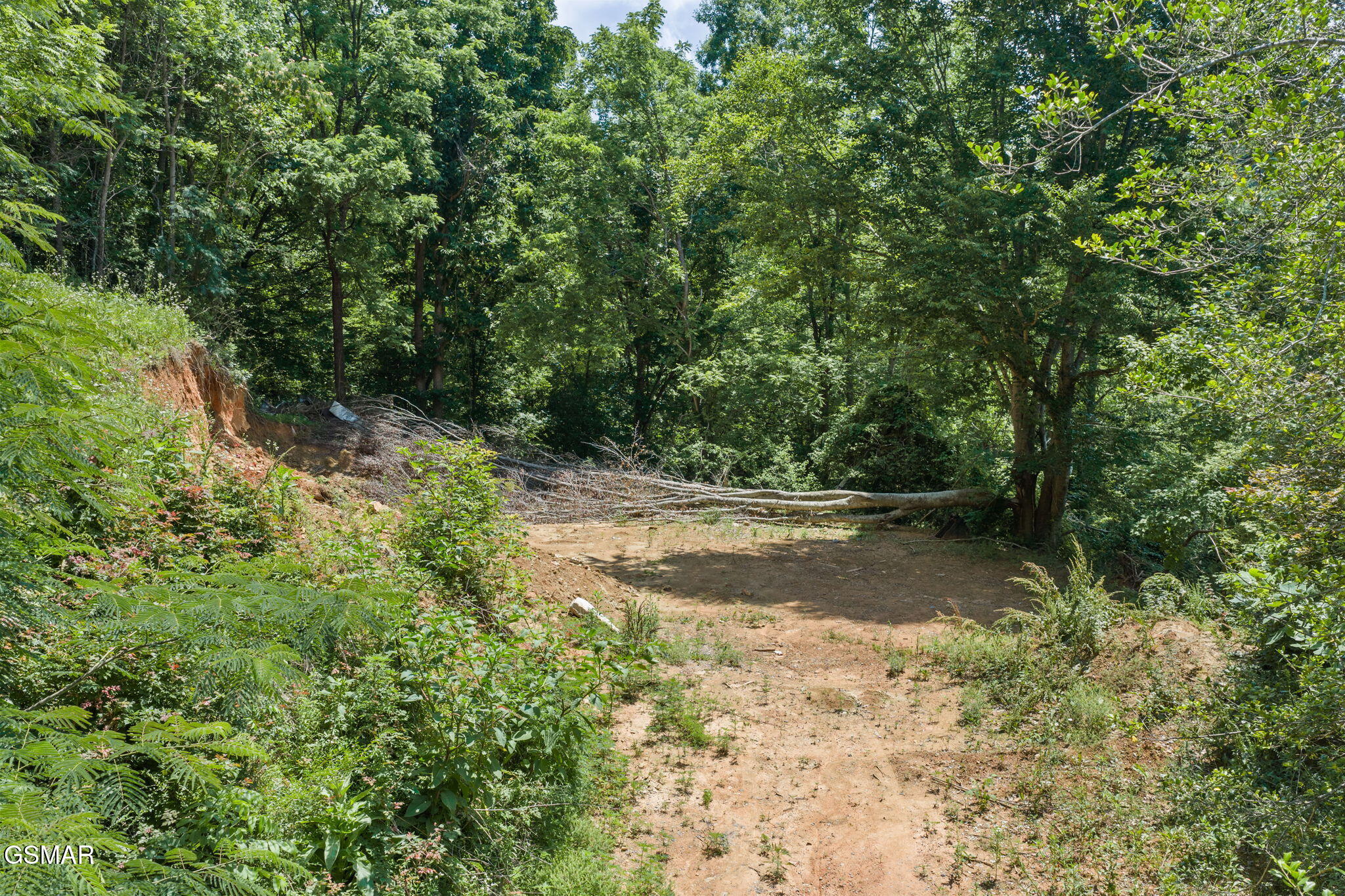 520 Verless Ogle Road Sevierville TN 37876