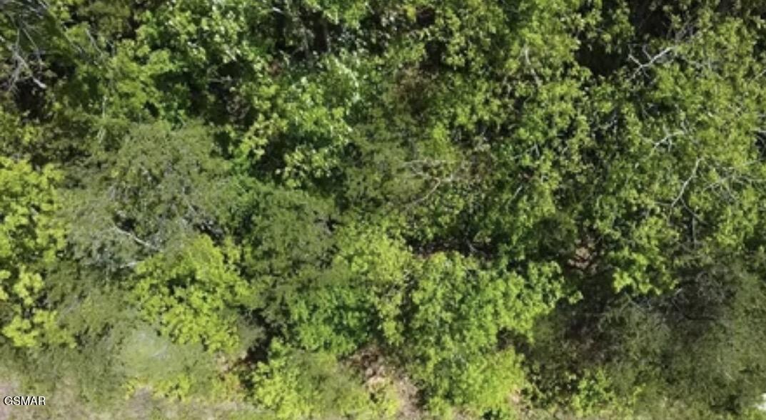 Lot 81 Yellowwood Drive Sevierville TN 37876