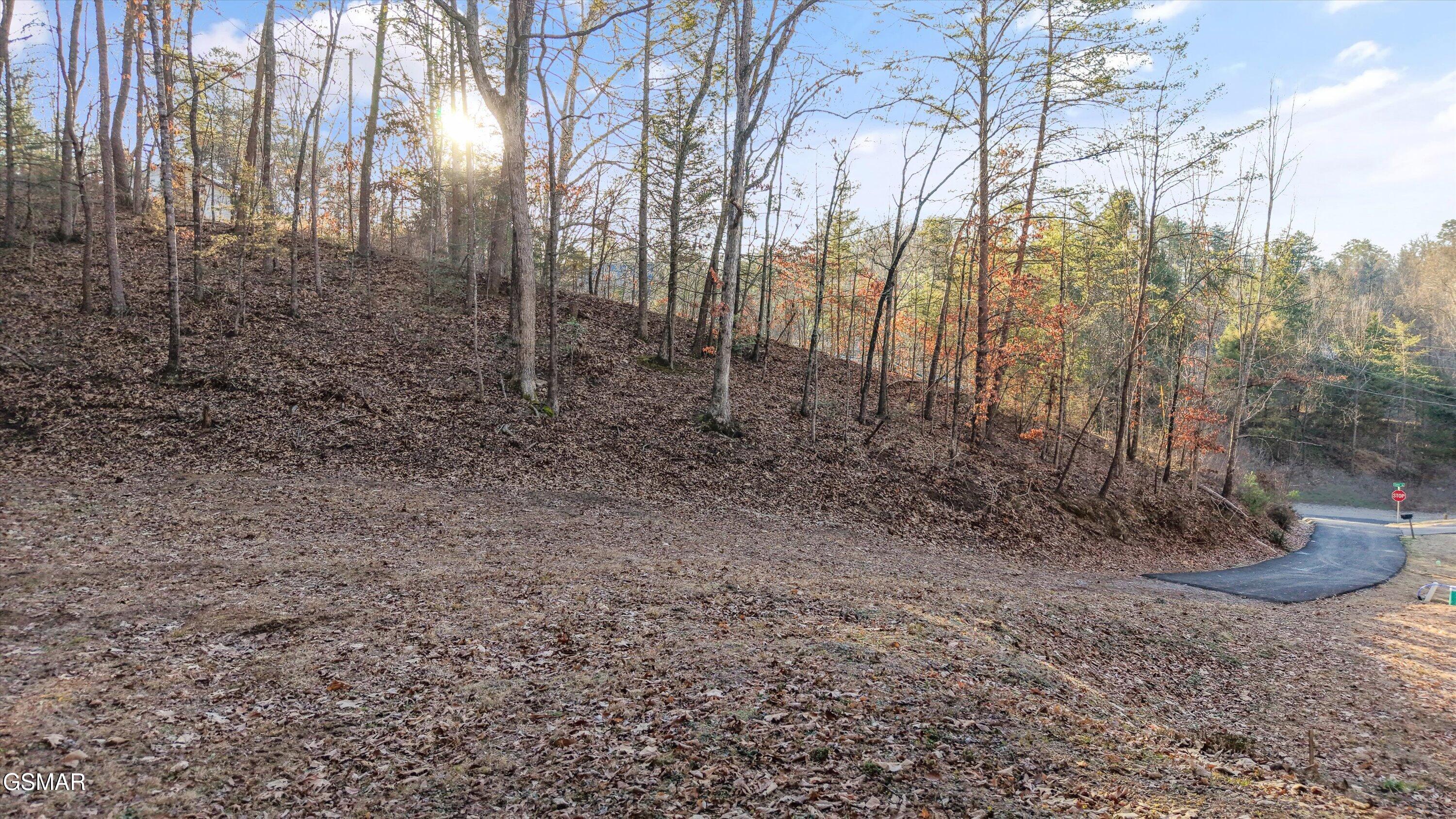 619 Cedar Road Pigeon Forge TN 37863