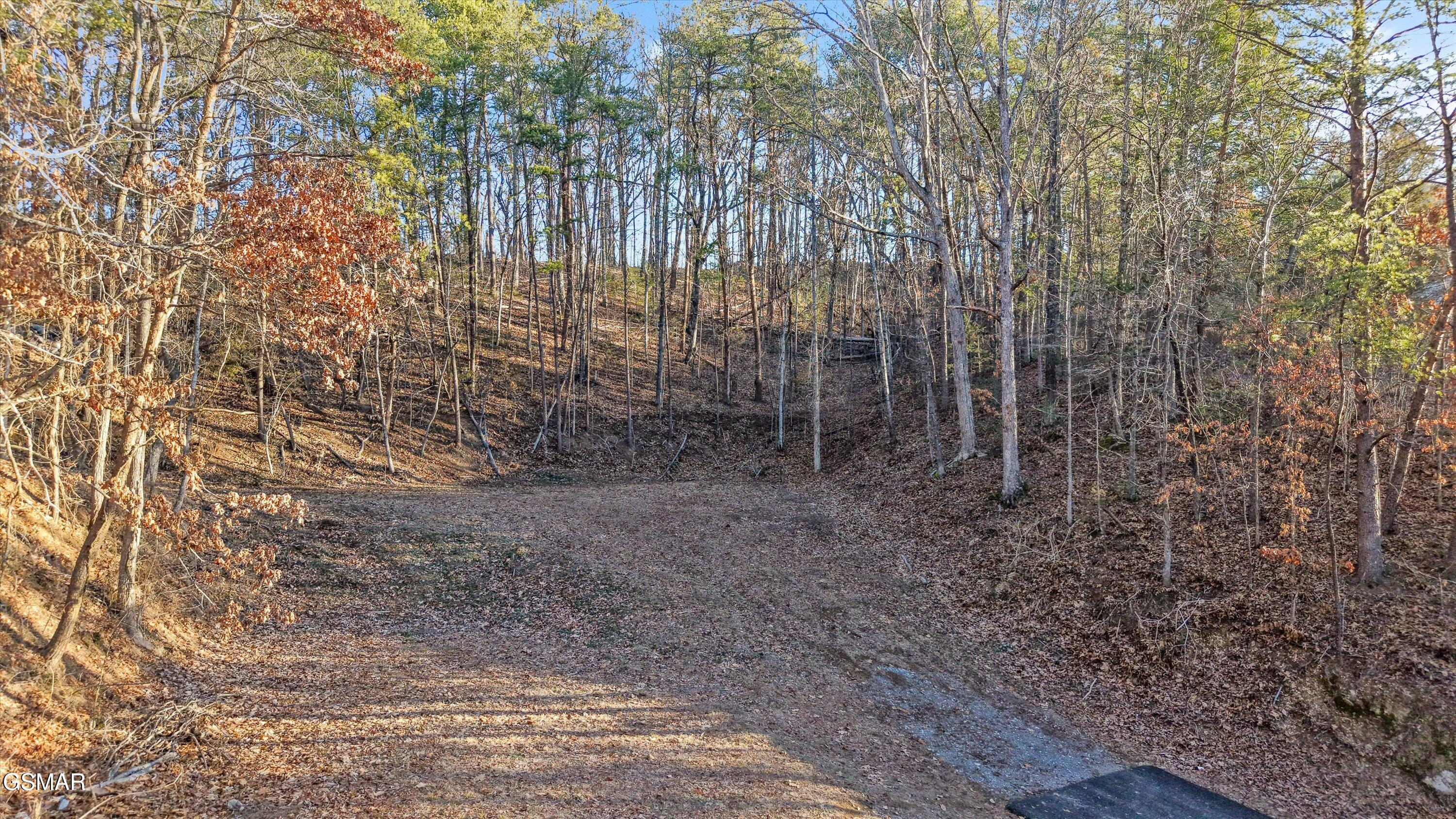 619 Cedar Road Pigeon Forge TN 37863