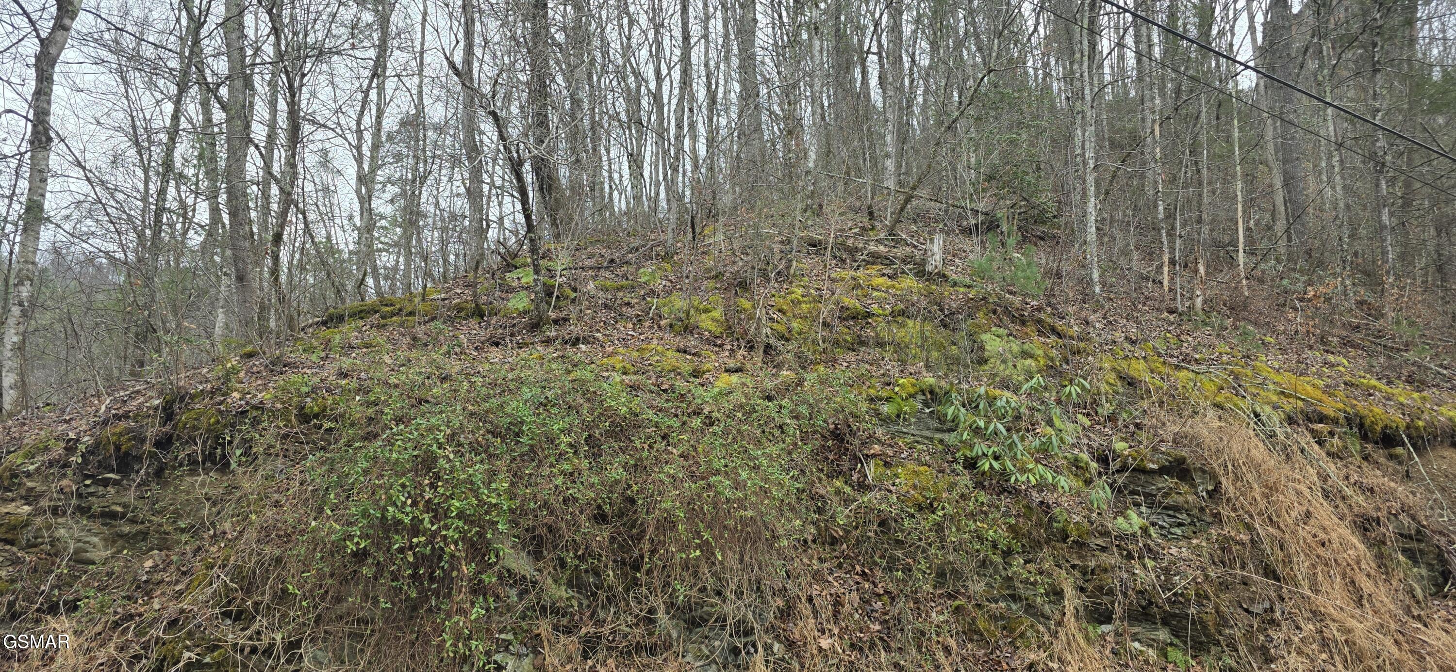 Lot 0006 Wildcat Ridge Road Sevierville TN 37862
