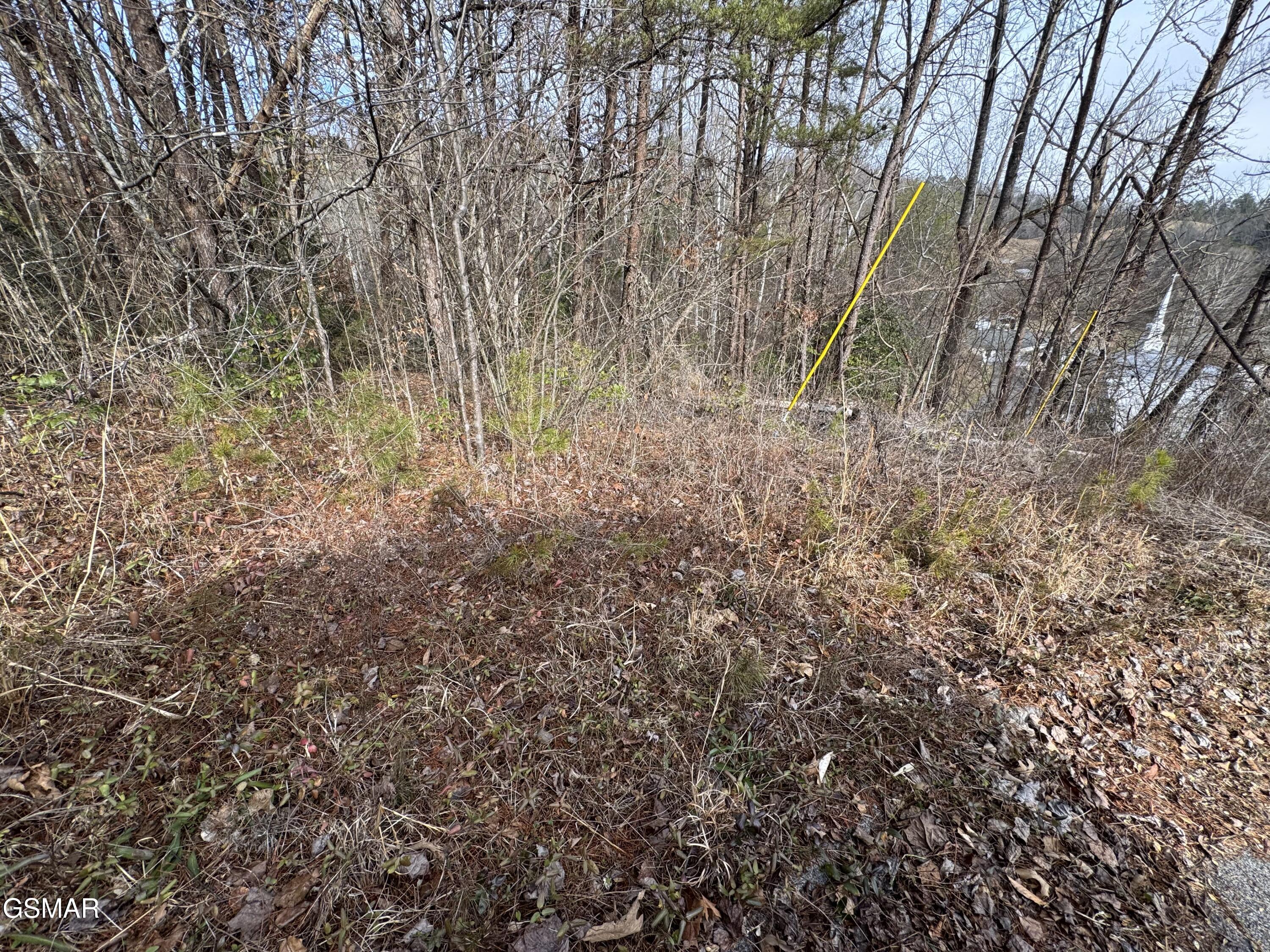 Lot 14 Katelyns Lane Sevierville TN 37876