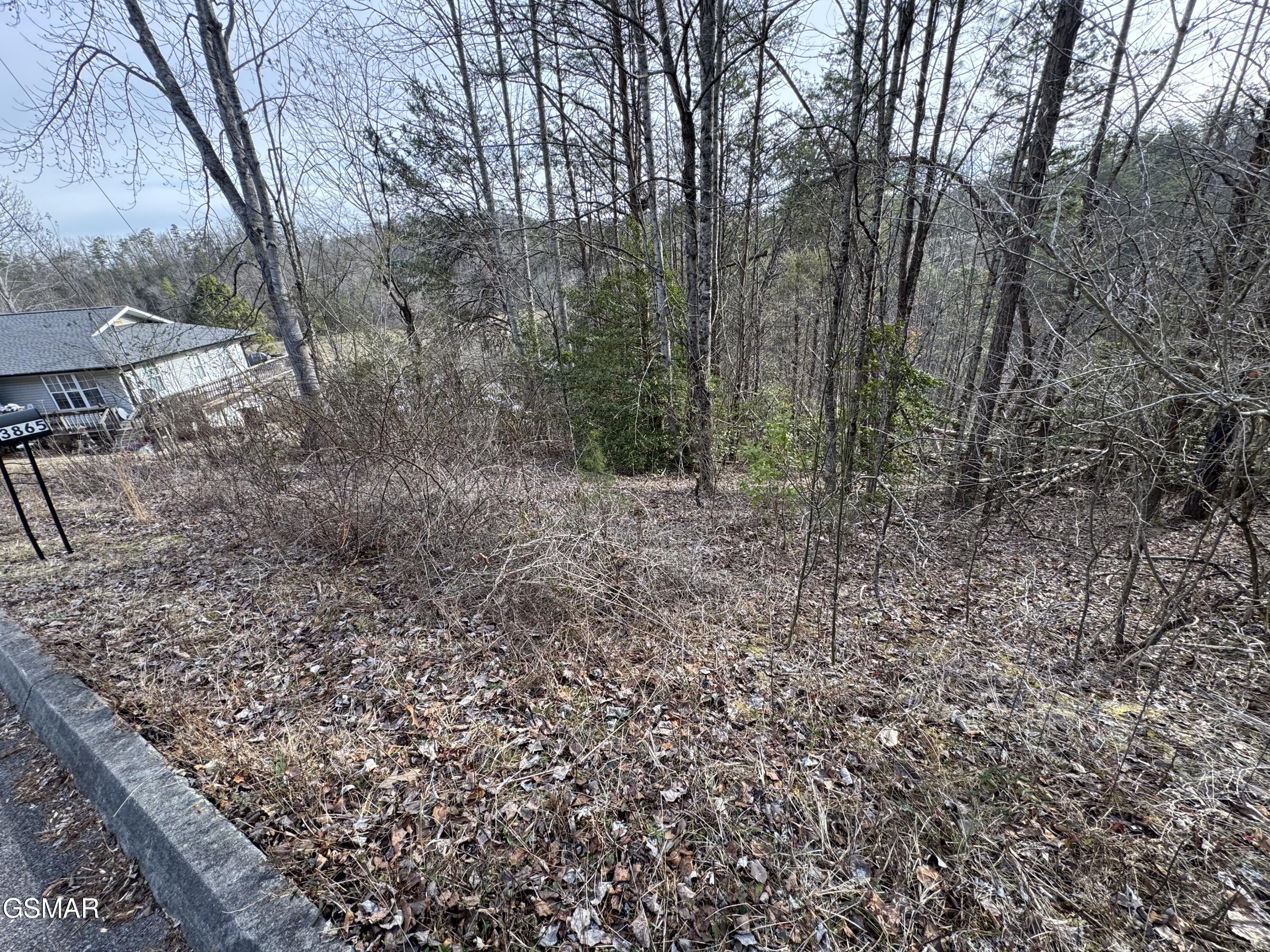 Lot 14 Katelyns Lane Sevierville TN 37876
