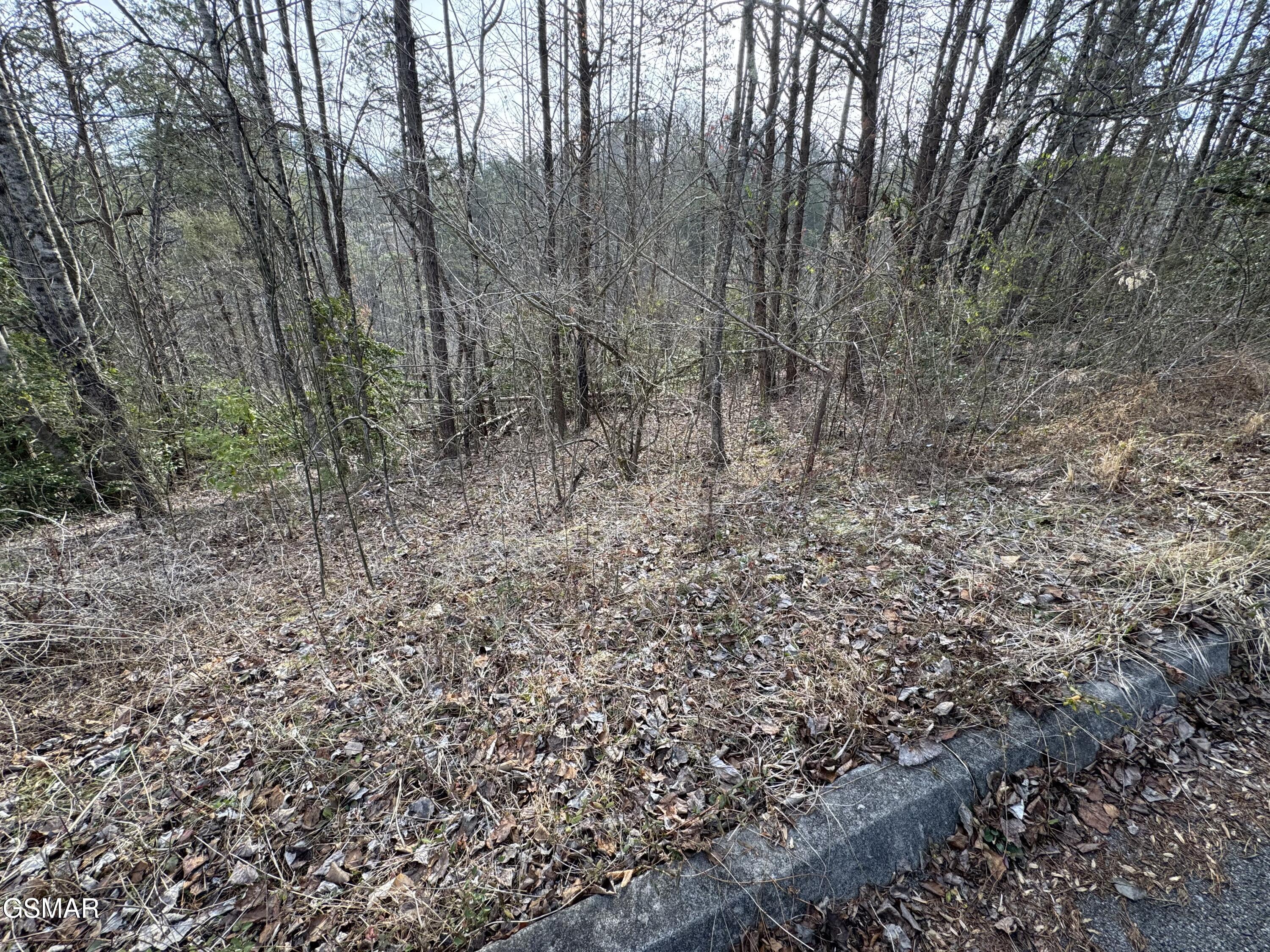 Lot 14 Katelyns Lane Sevierville TN 37876