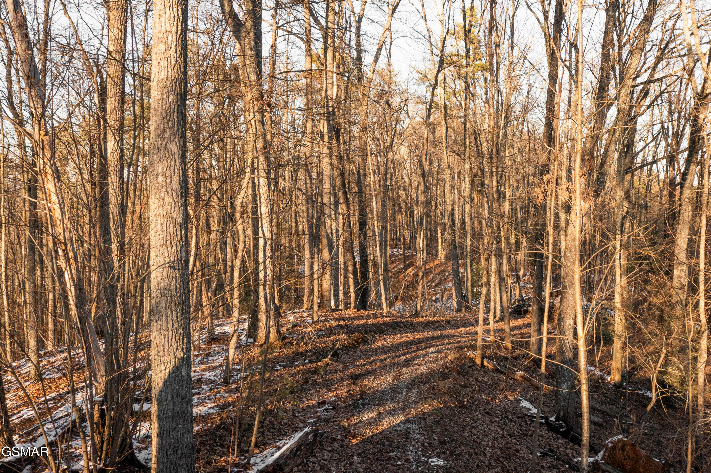 4364 Powdermill Estates Road Sevierville TN 37876