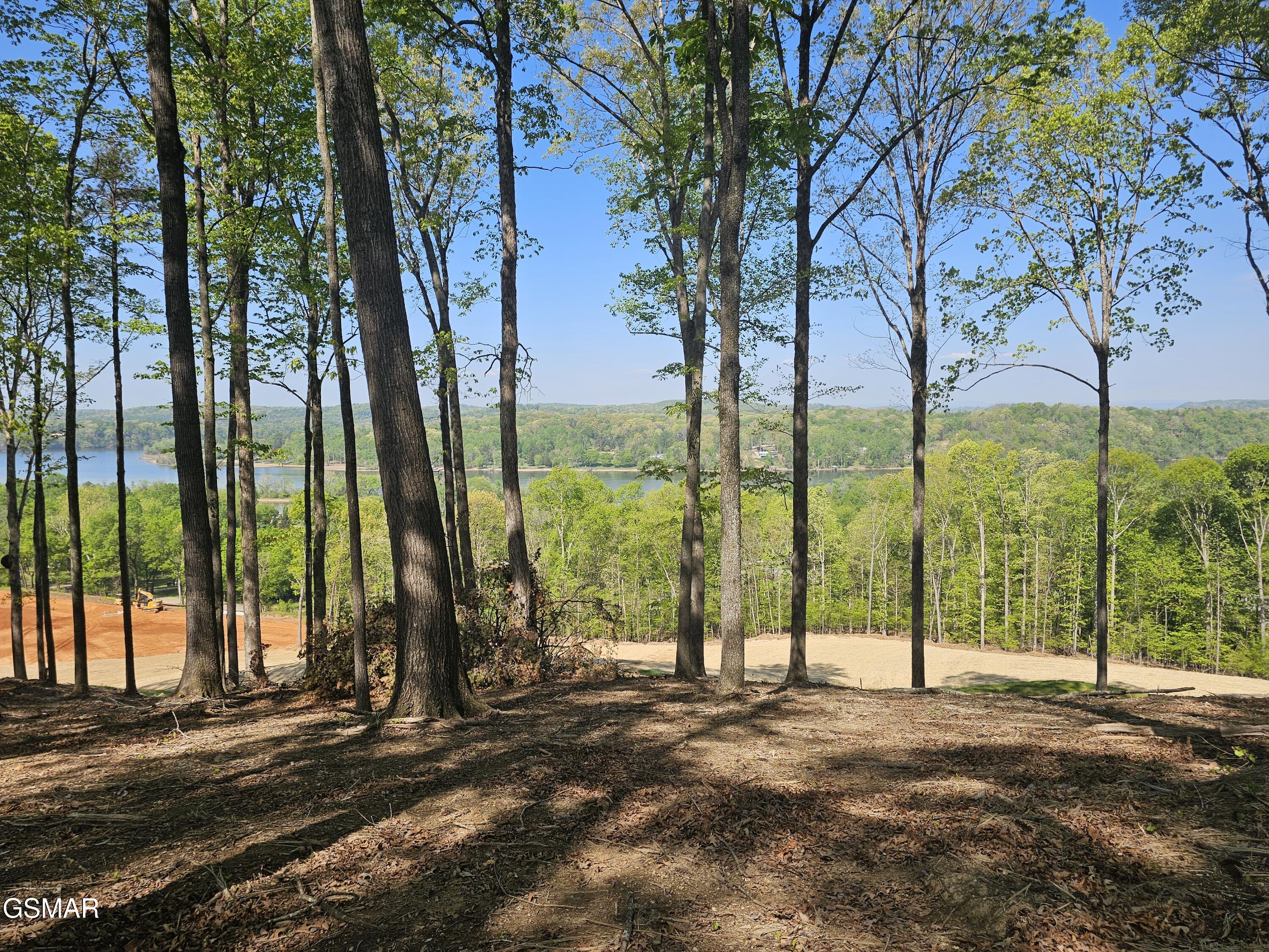 132 Eagles Crest Court Loudon TN 37774