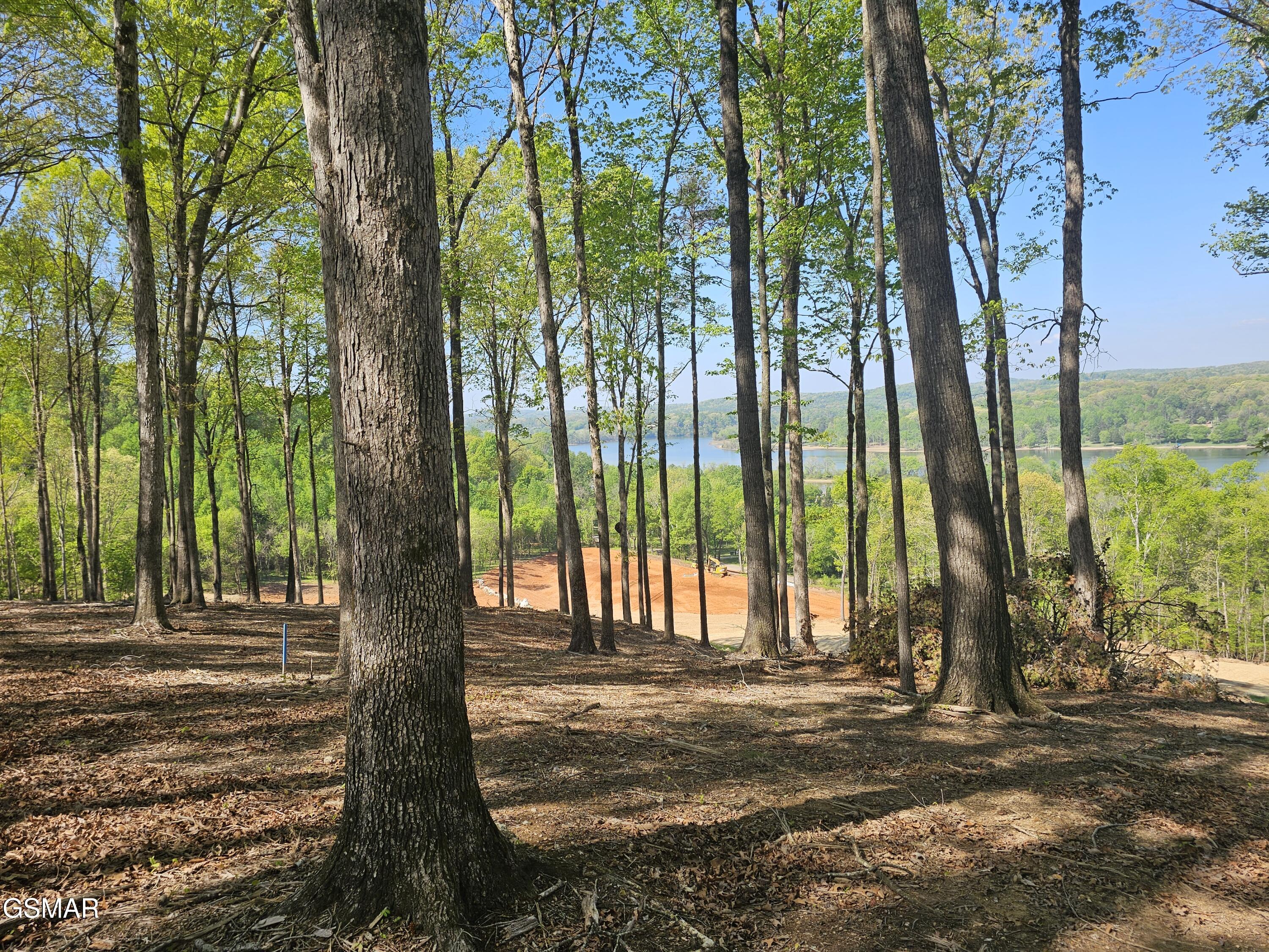 132 Eagles Crest Court Loudon TN 37774