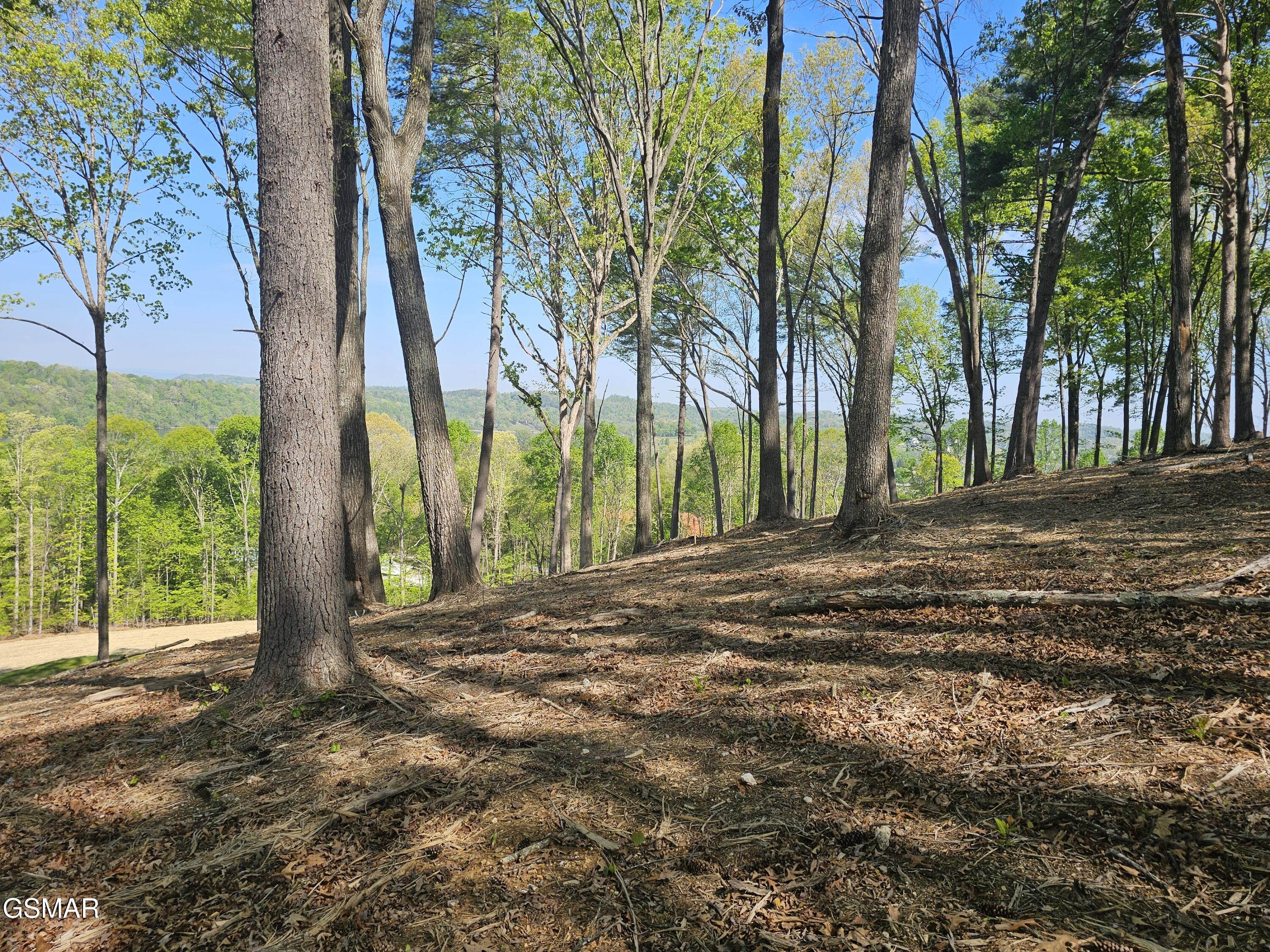 132 Eagles Crest Court Loudon TN 37774