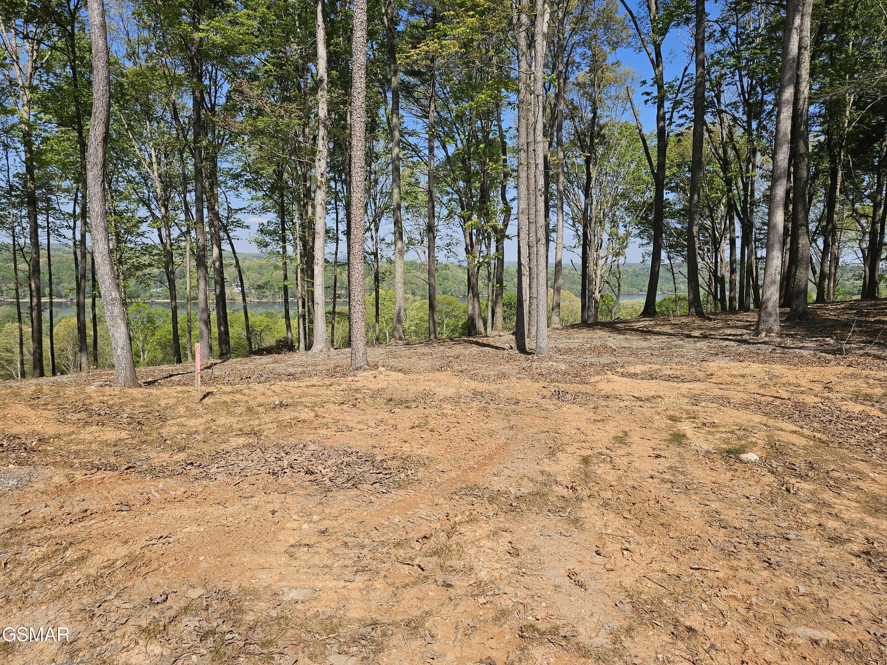 132 Eagles Crest Court Loudon TN 37774