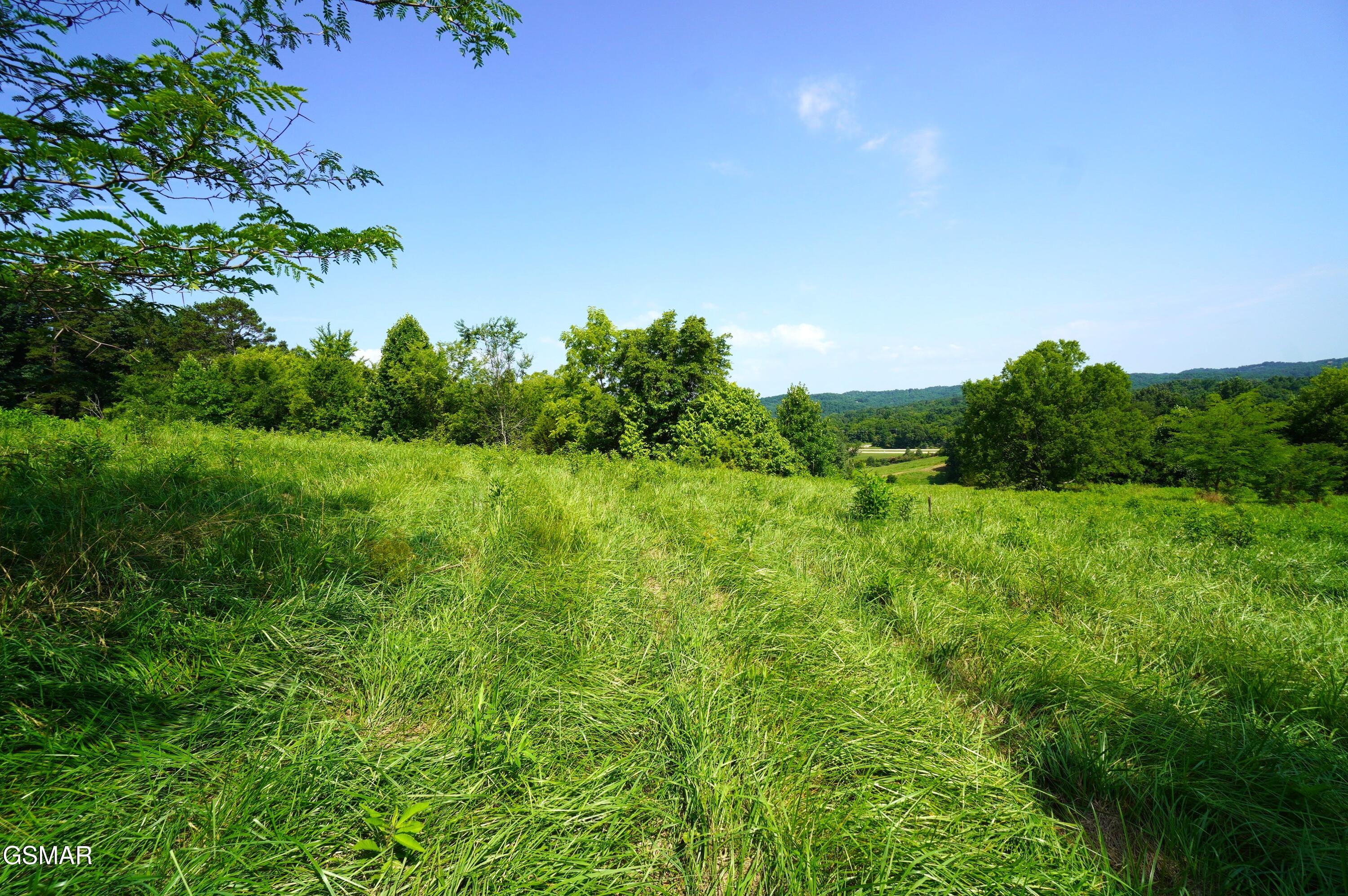 00 Old Greeneville Highway Parrottsville TN 37843