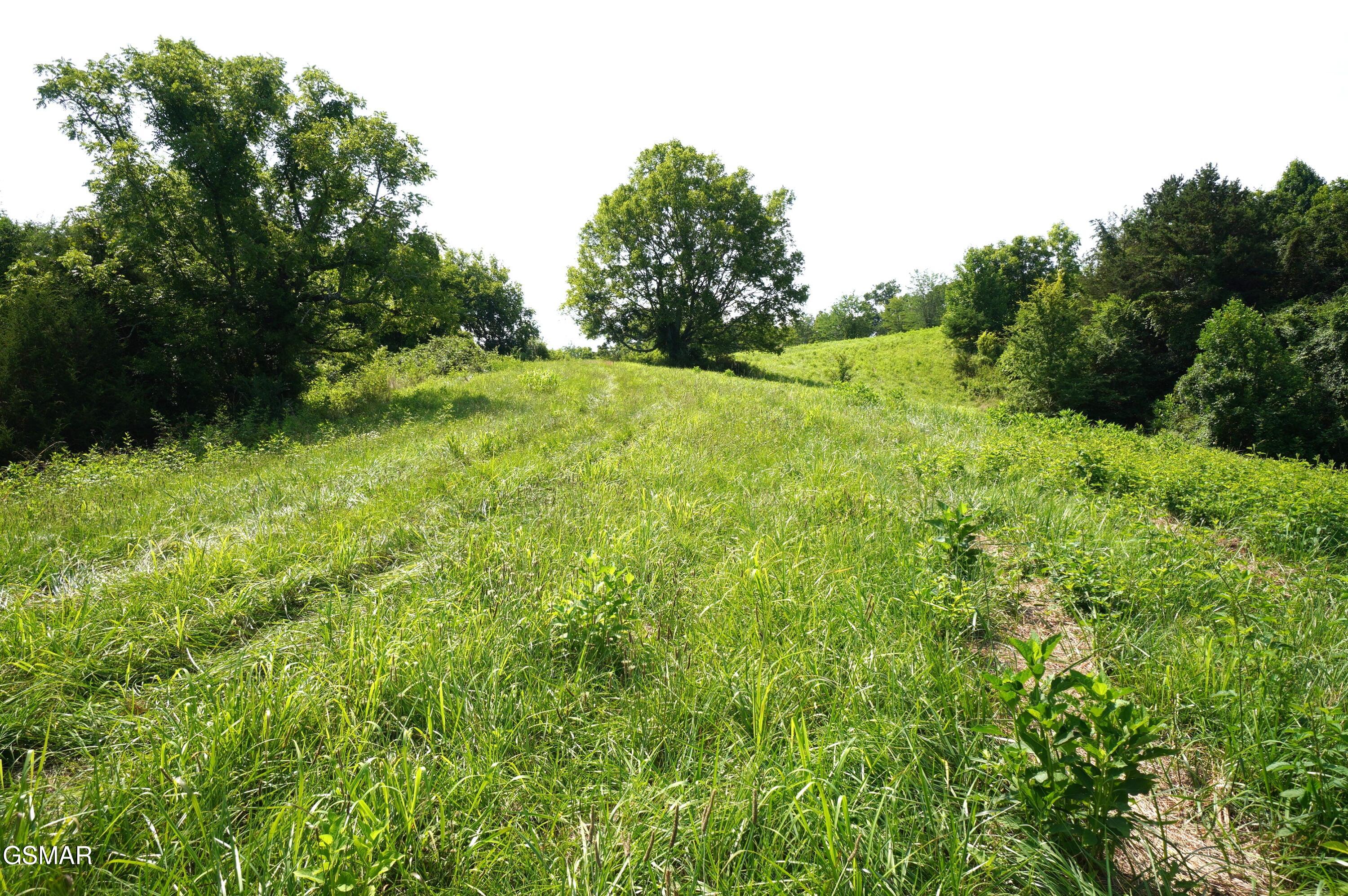 00 Old Greeneville Highway Parrottsville TN 37843