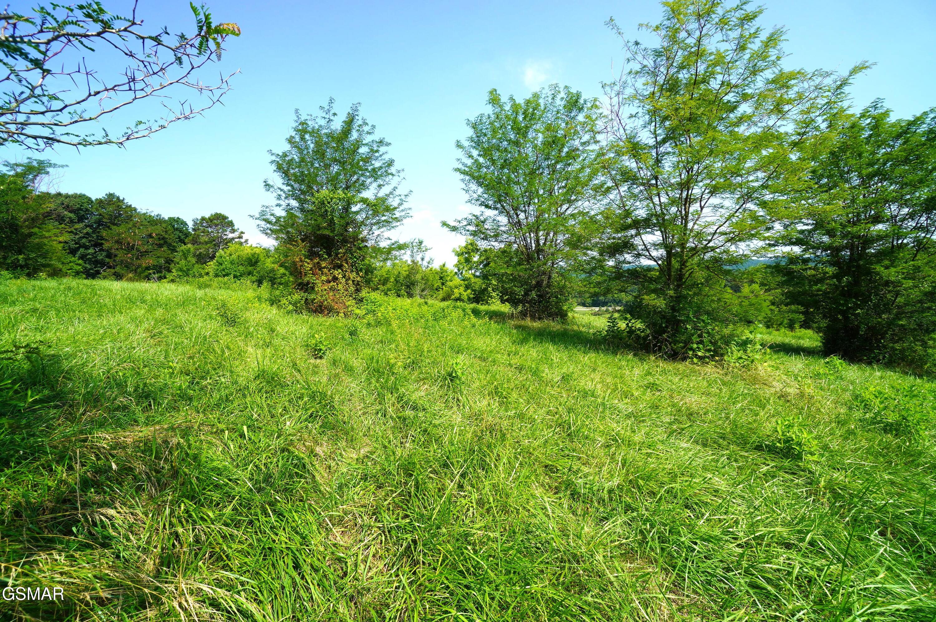 00 Old Greeneville Highway Parrottsville TN 37843