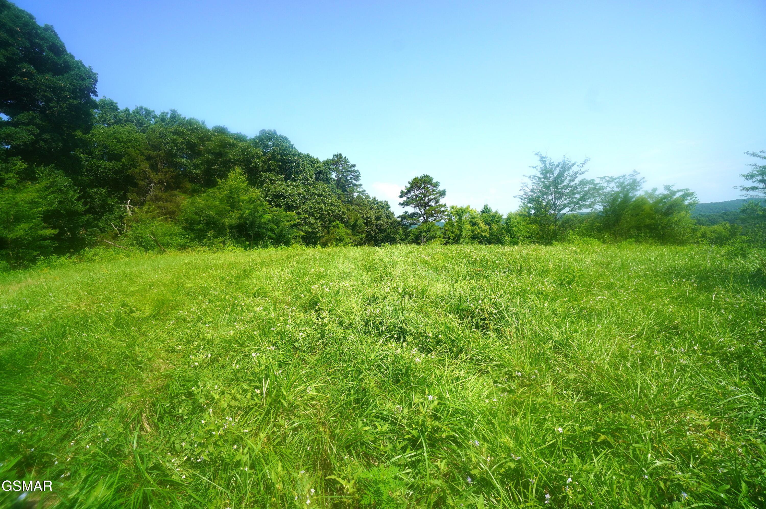 00 Old Greeneville Highway Parrottsville TN 37843