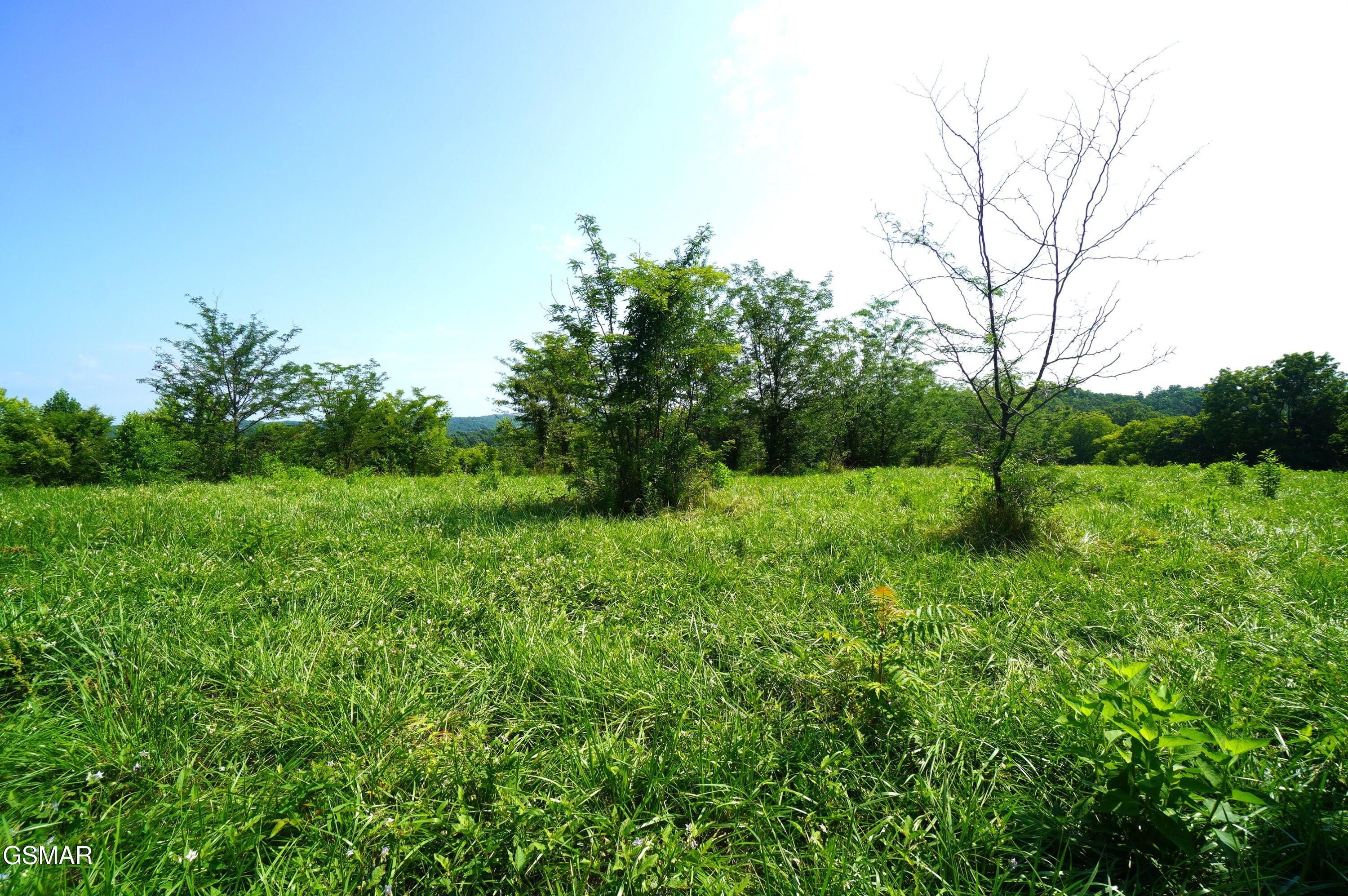 00 Old Greeneville Highway Parrottsville TN 37843
