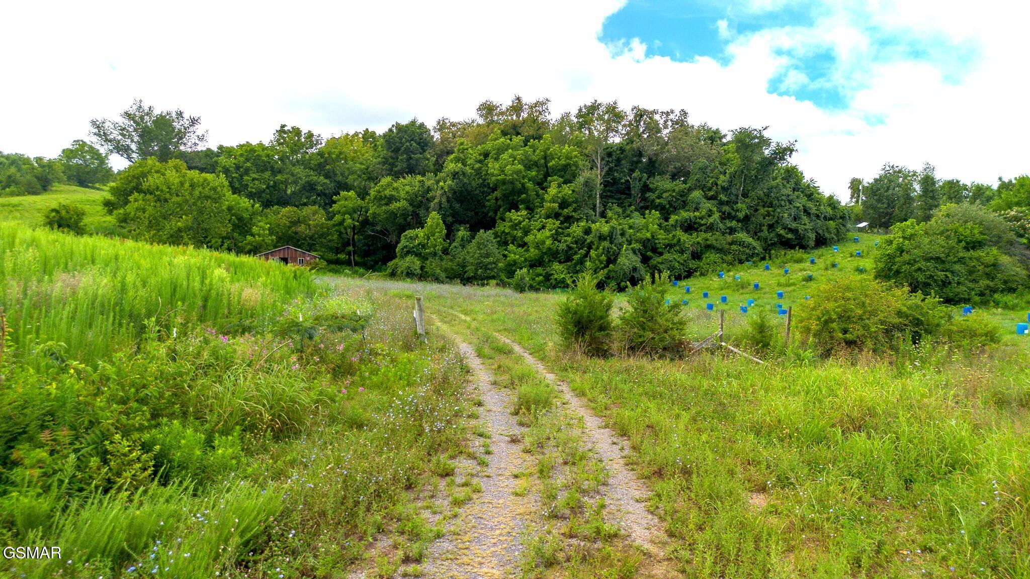 00 Old Greeneville Highway Parrottsville TN 37843