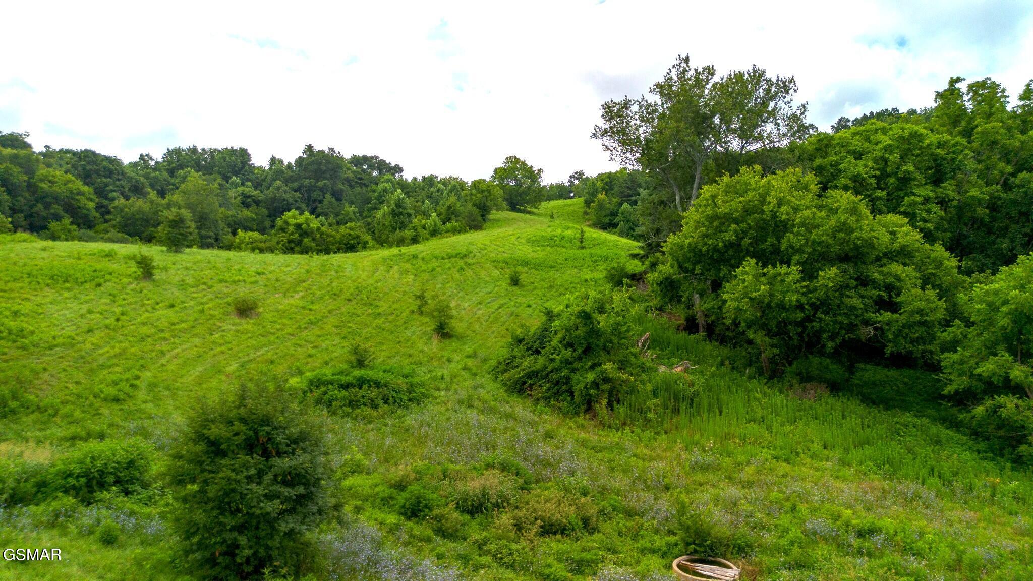 00 Old Greeneville Highway Parrottsville TN 37843