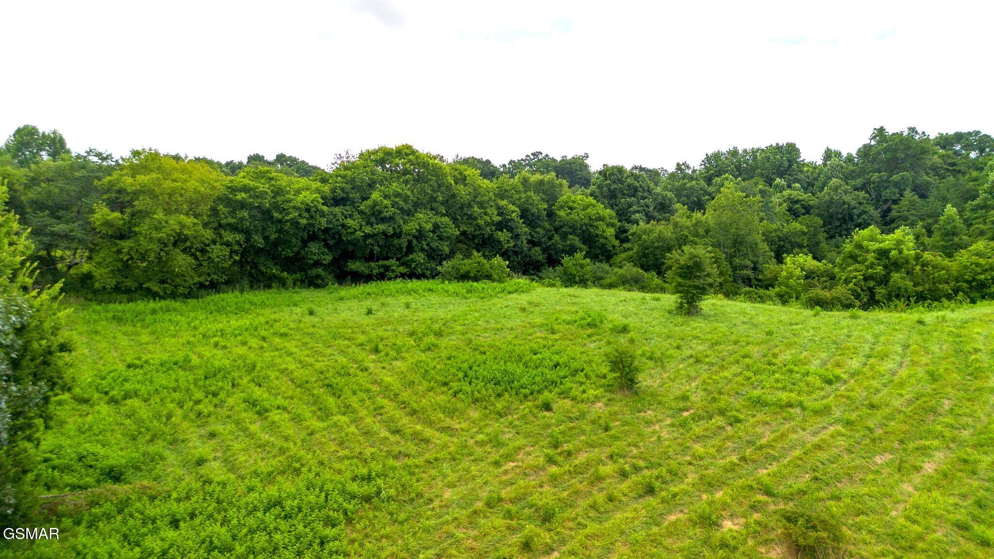 00 Old Greeneville Highway Parrottsville TN 37843