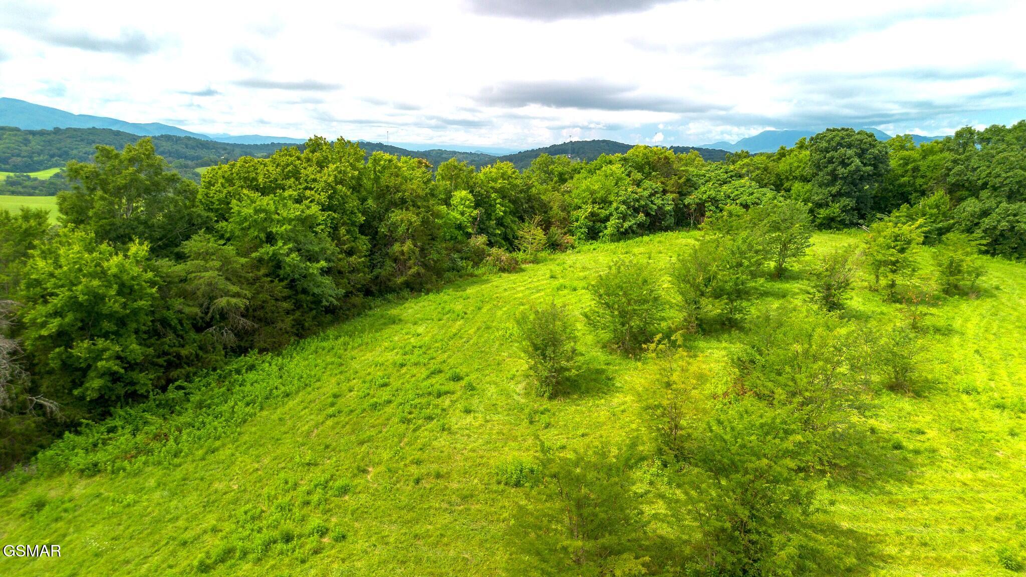 00 Old Greeneville Highway Parrottsville TN 37843