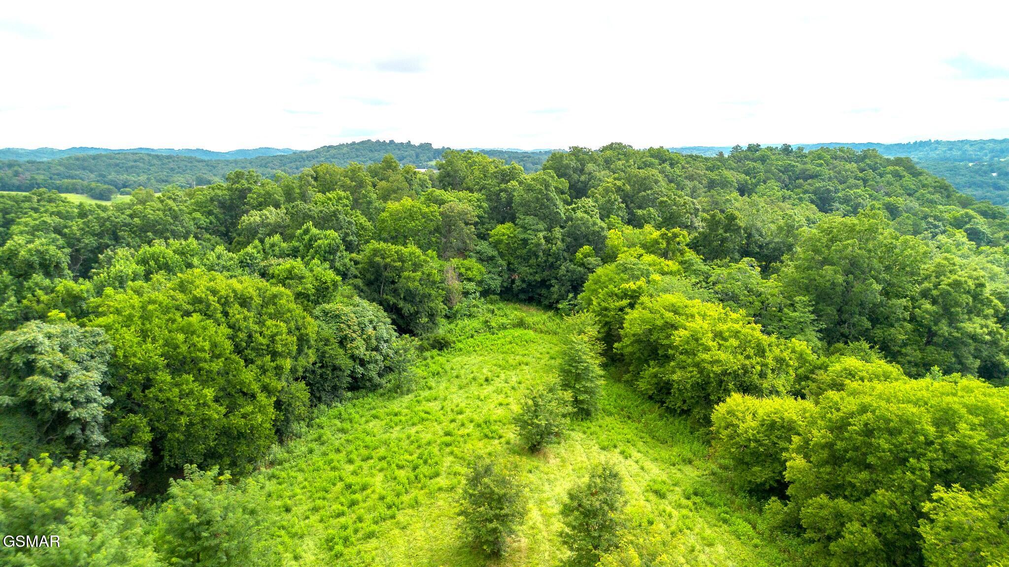 00 Old Greeneville Highway Parrottsville TN 37843