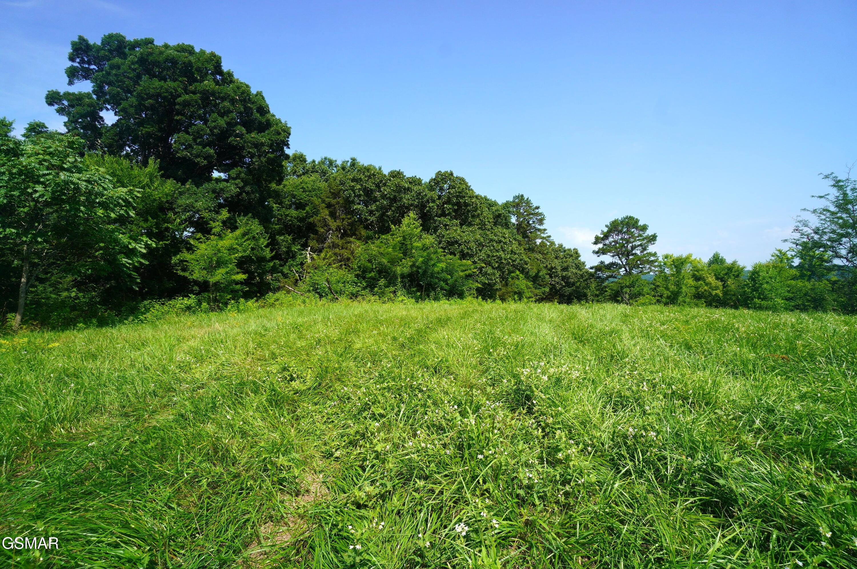 00 Old Greeneville Highway Parrottsville TN 37843