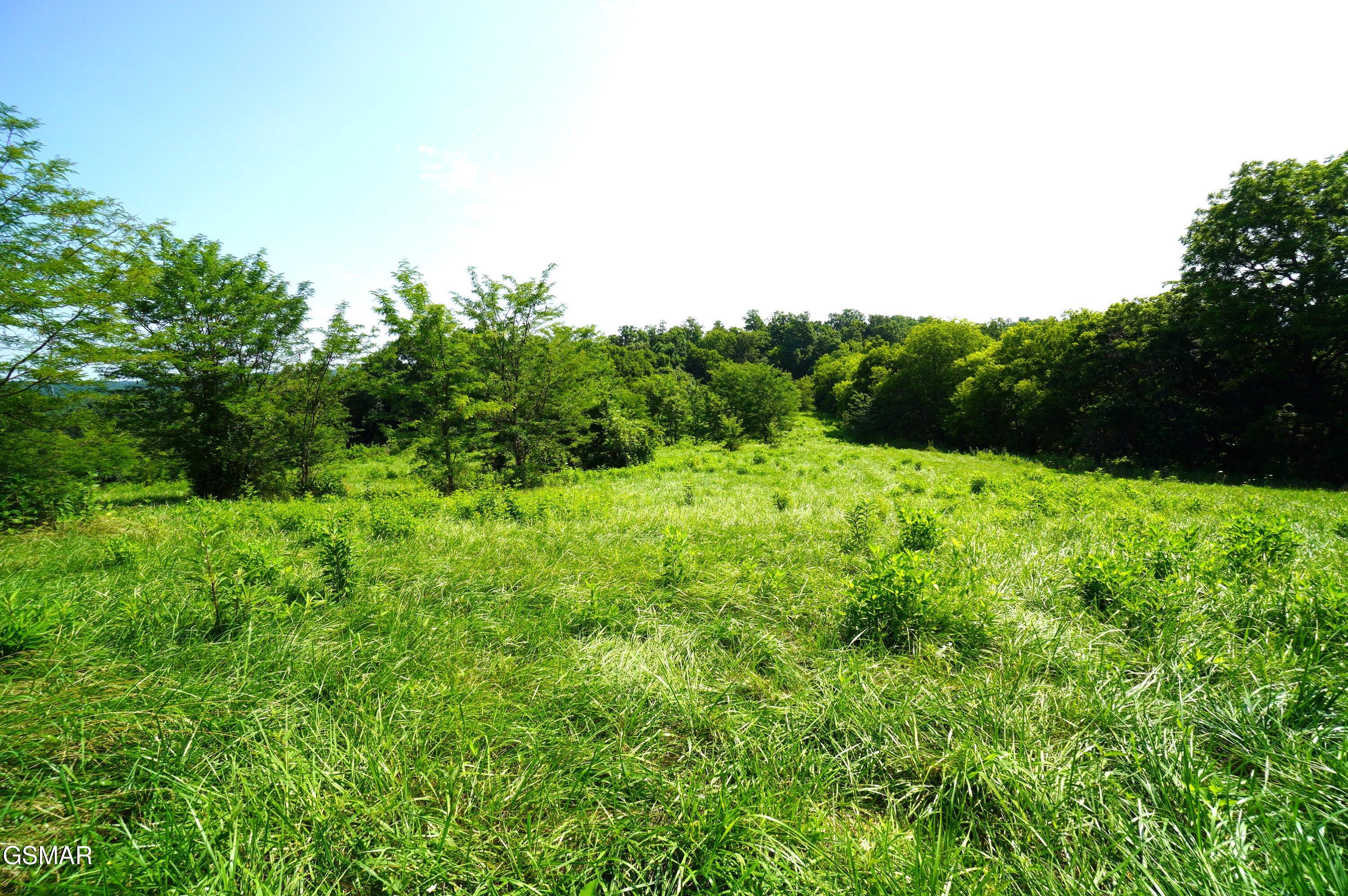00 Old Greeneville Highway Parrottsville TN 37843