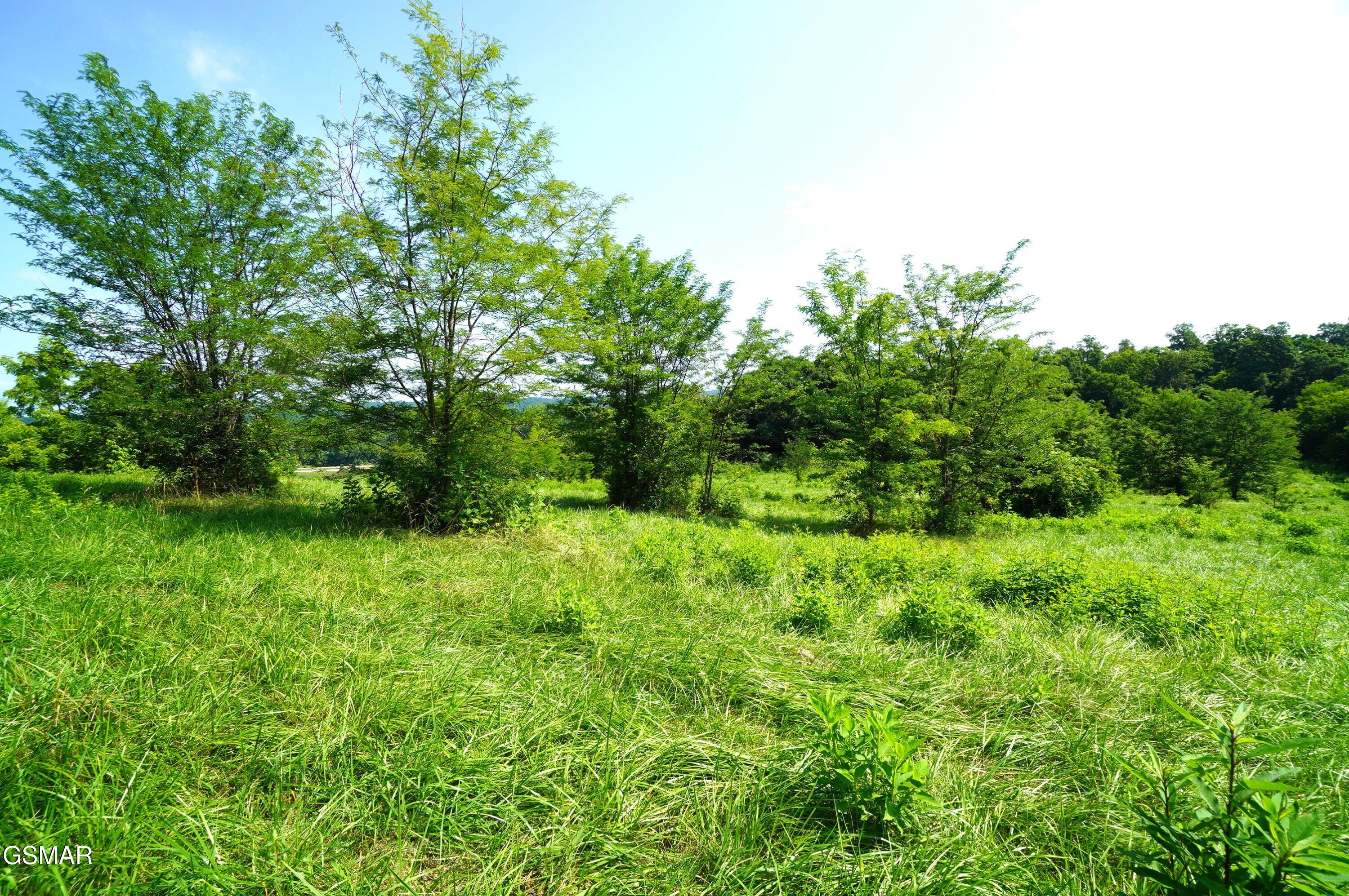 00 Old Greeneville Highway Parrottsville TN 37843