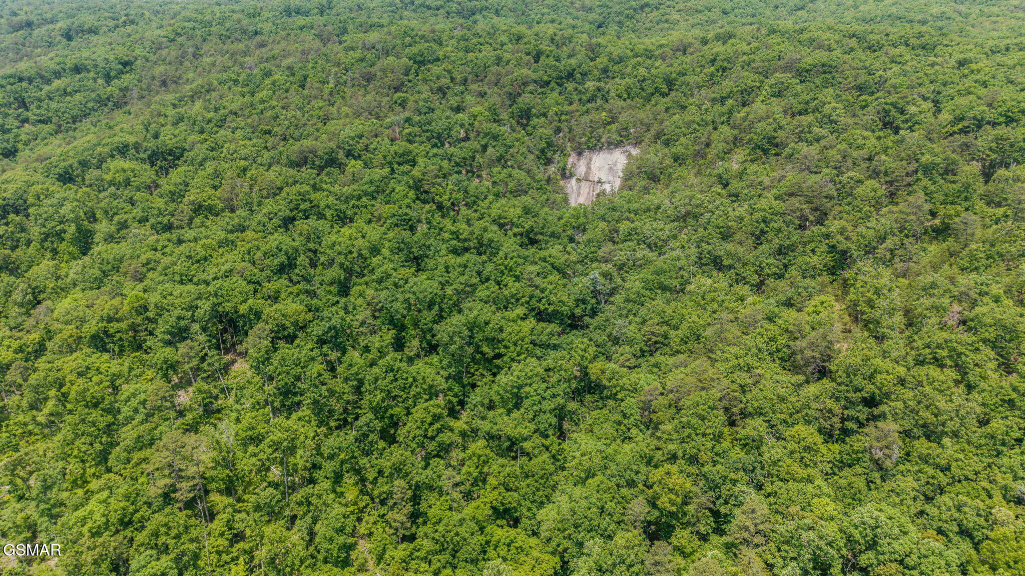 0 Poor Valley Road Rutledge TN 37861