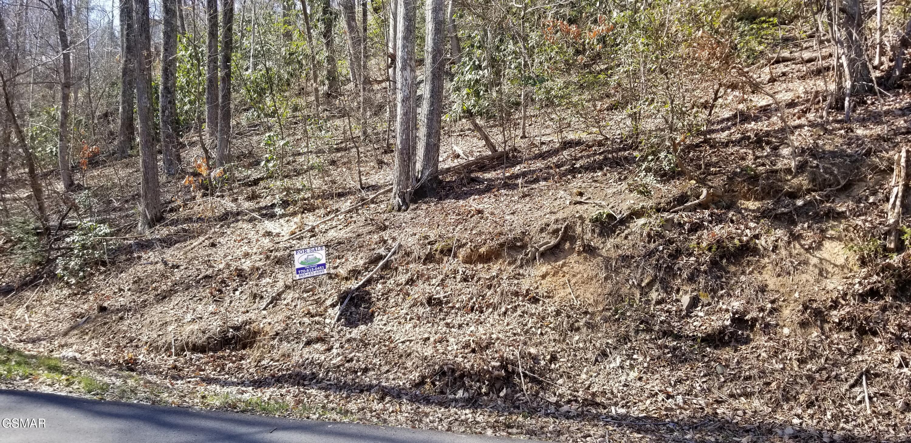 38 Luzerne Gatlinburg TN 37738