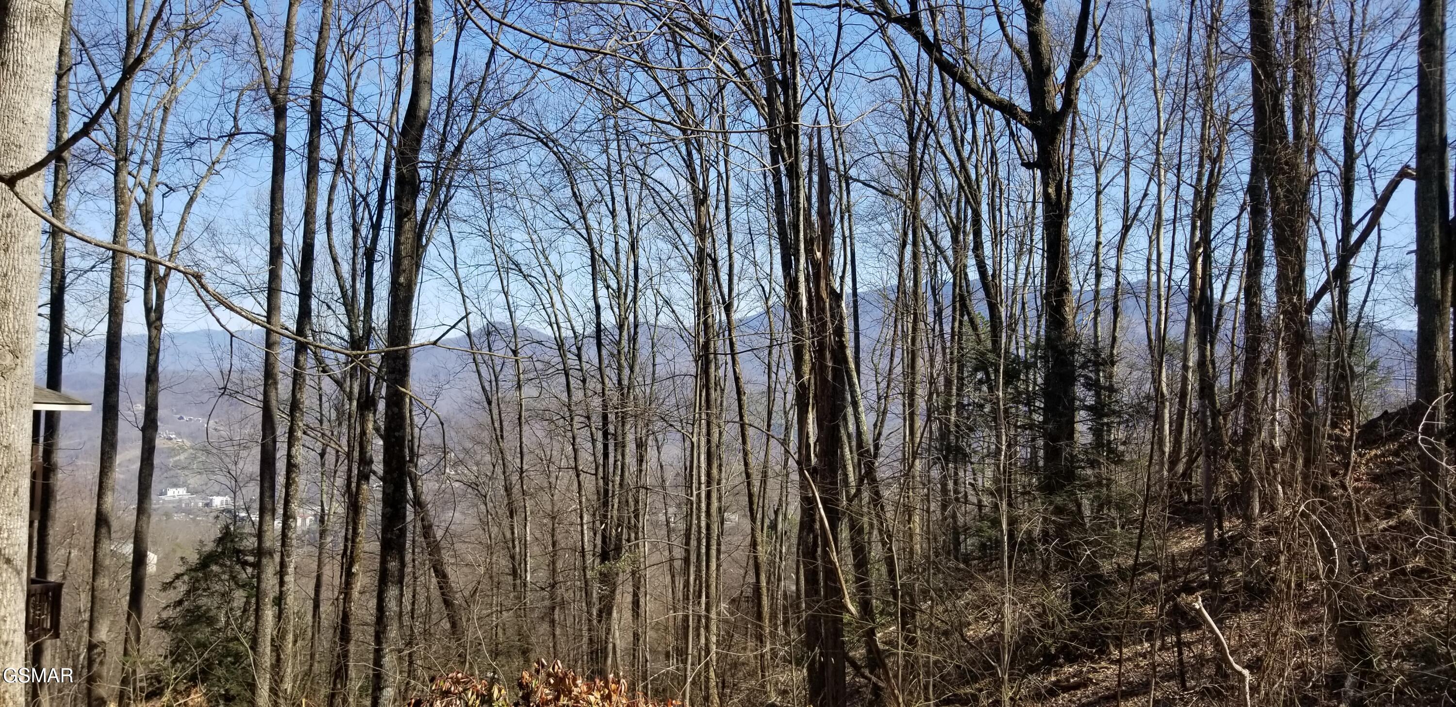 38 Luzerne Gatlinburg TN 37738