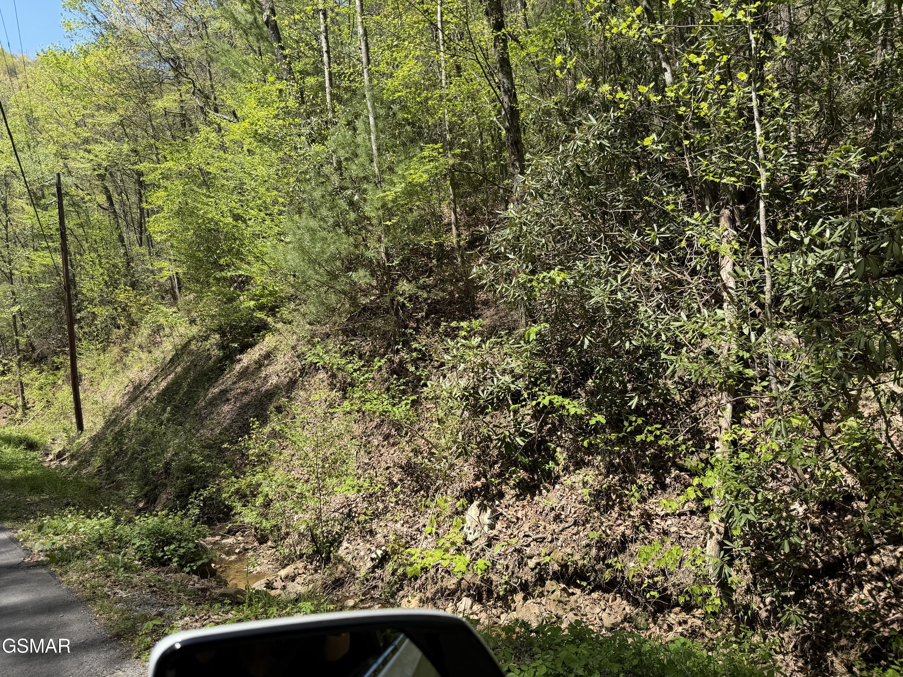 Lot 23 Alpine Drive Sevierville TN 37876