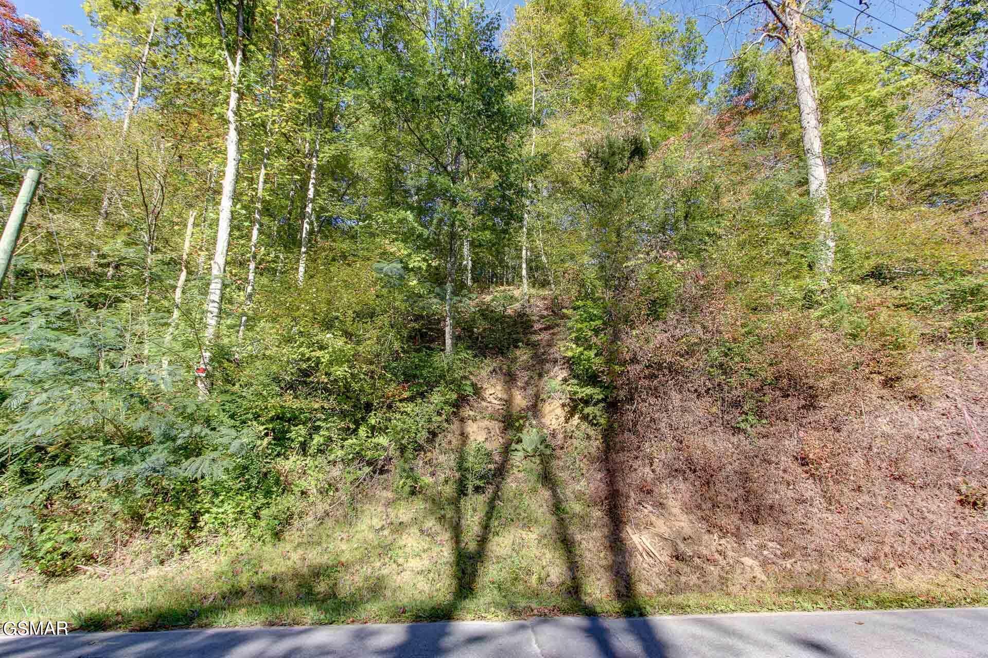 947 Powdermill Road Gatlinburg TN 37738