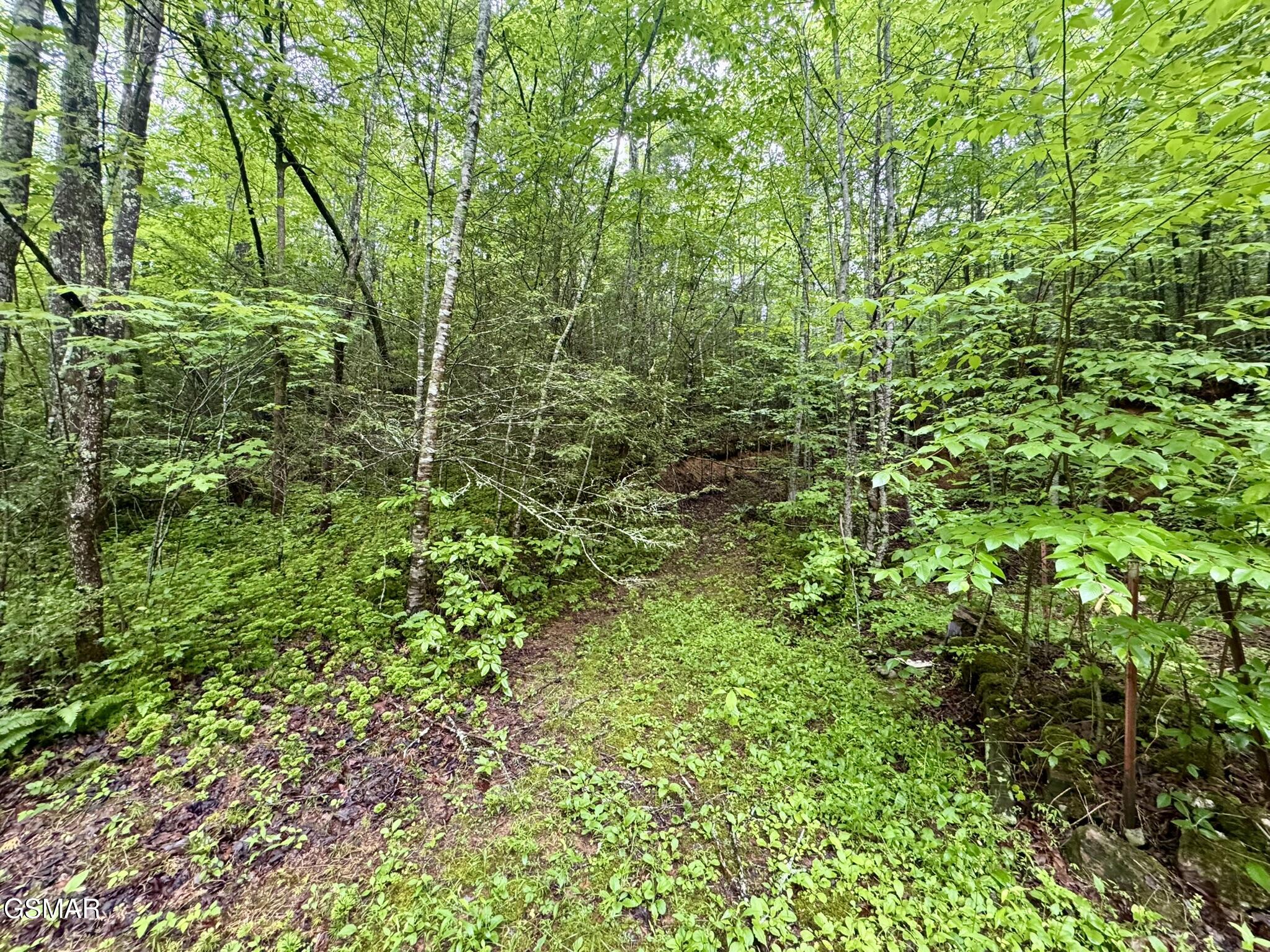0000 Glades Road Gatlinburg TN 37738