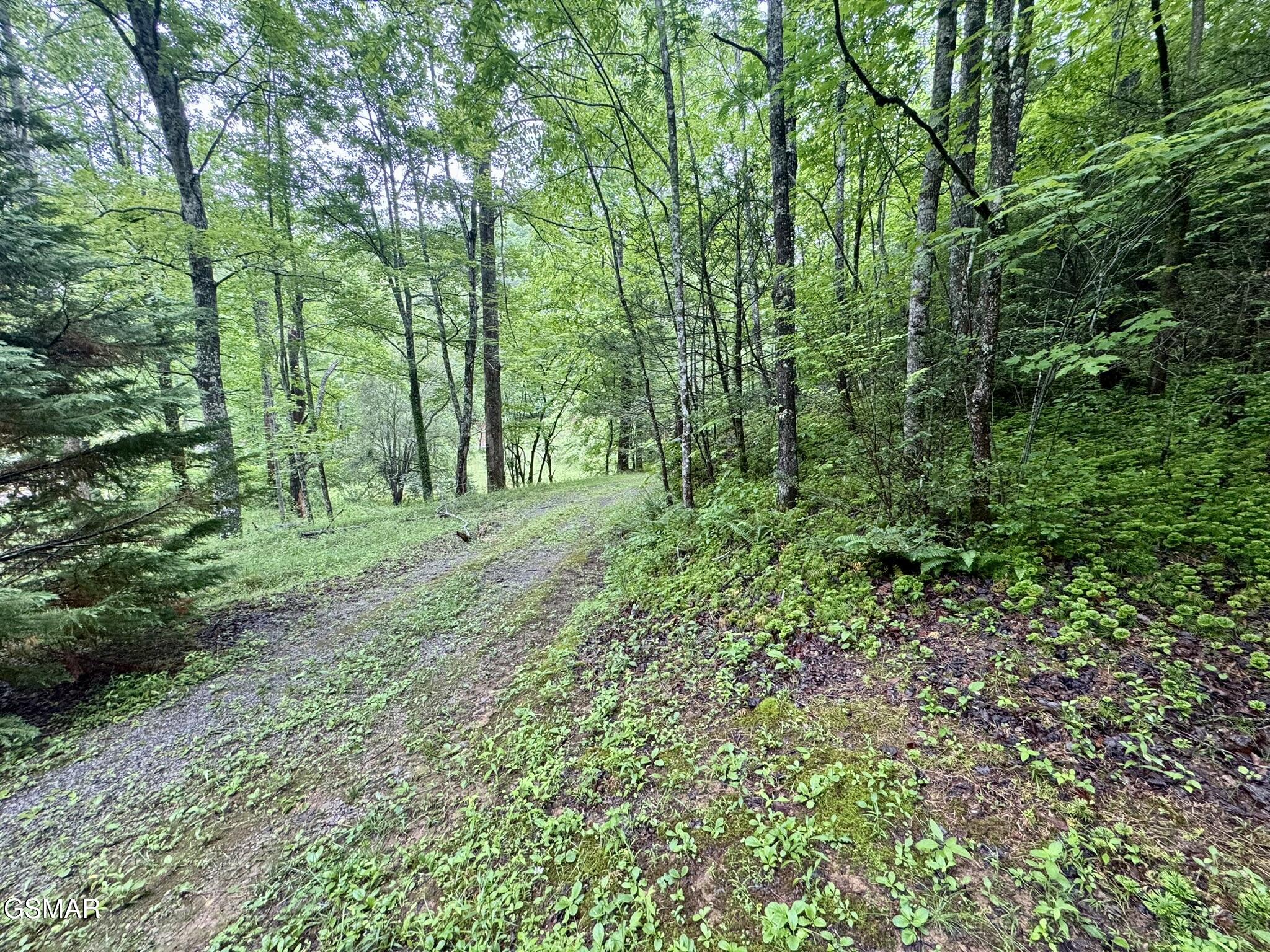 0000 Glades Road Gatlinburg TN 37738