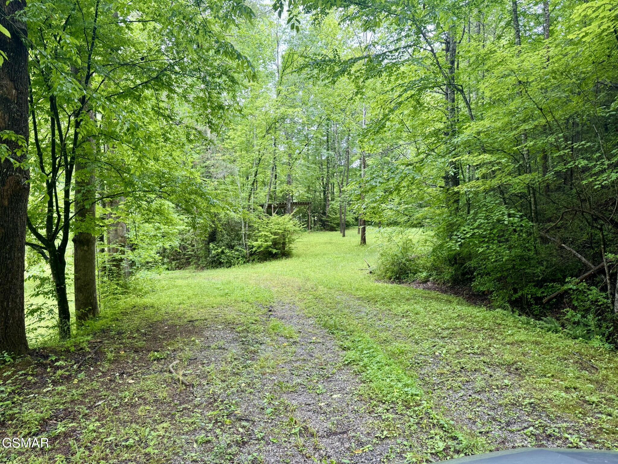 0000 Glades Road Gatlinburg TN 37738