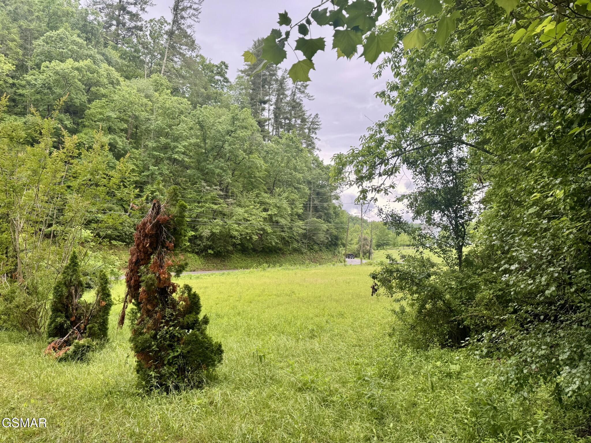 0000 Glades Road Gatlinburg TN 37738