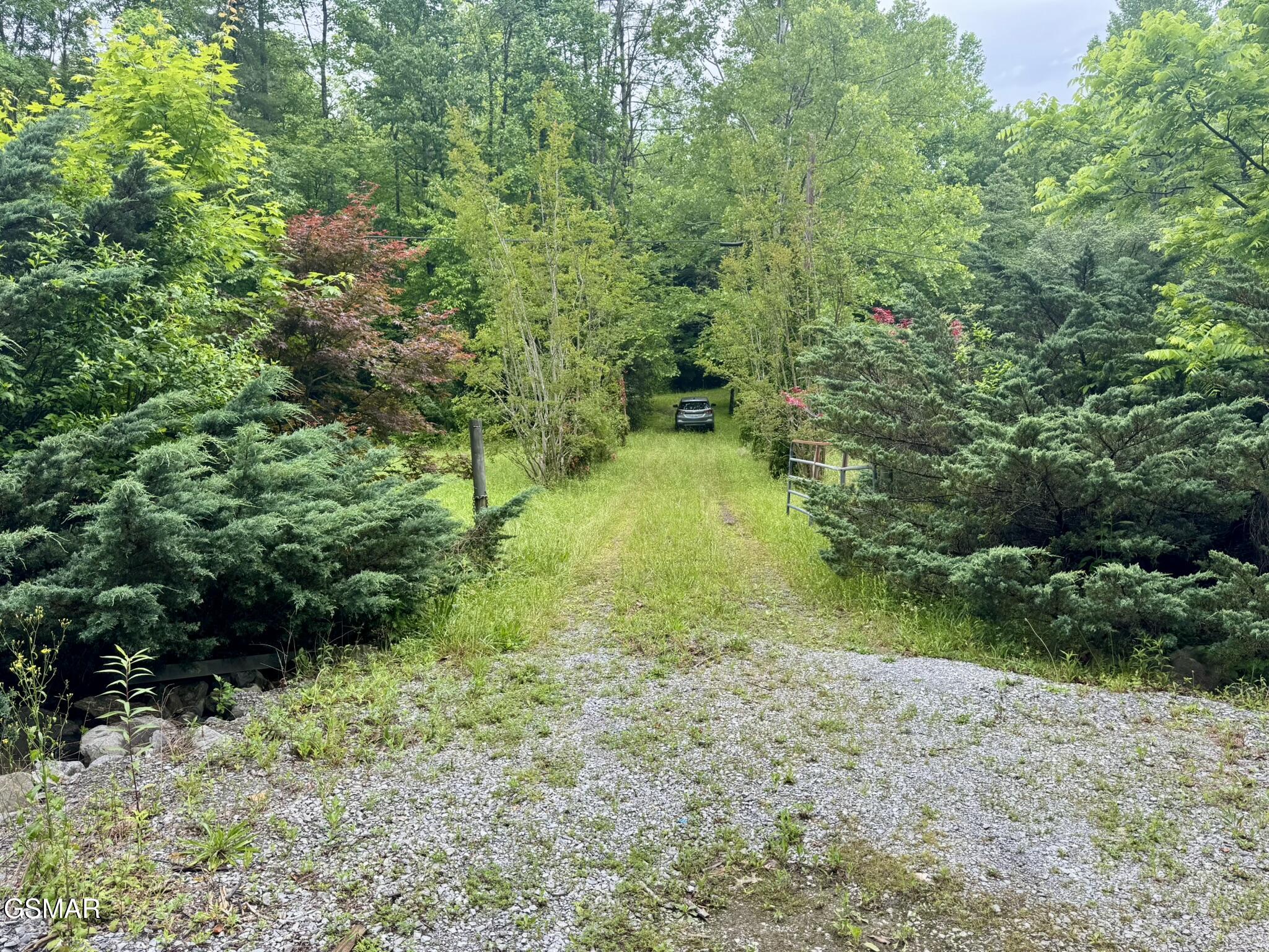 0000 Glades Road Gatlinburg TN 37738