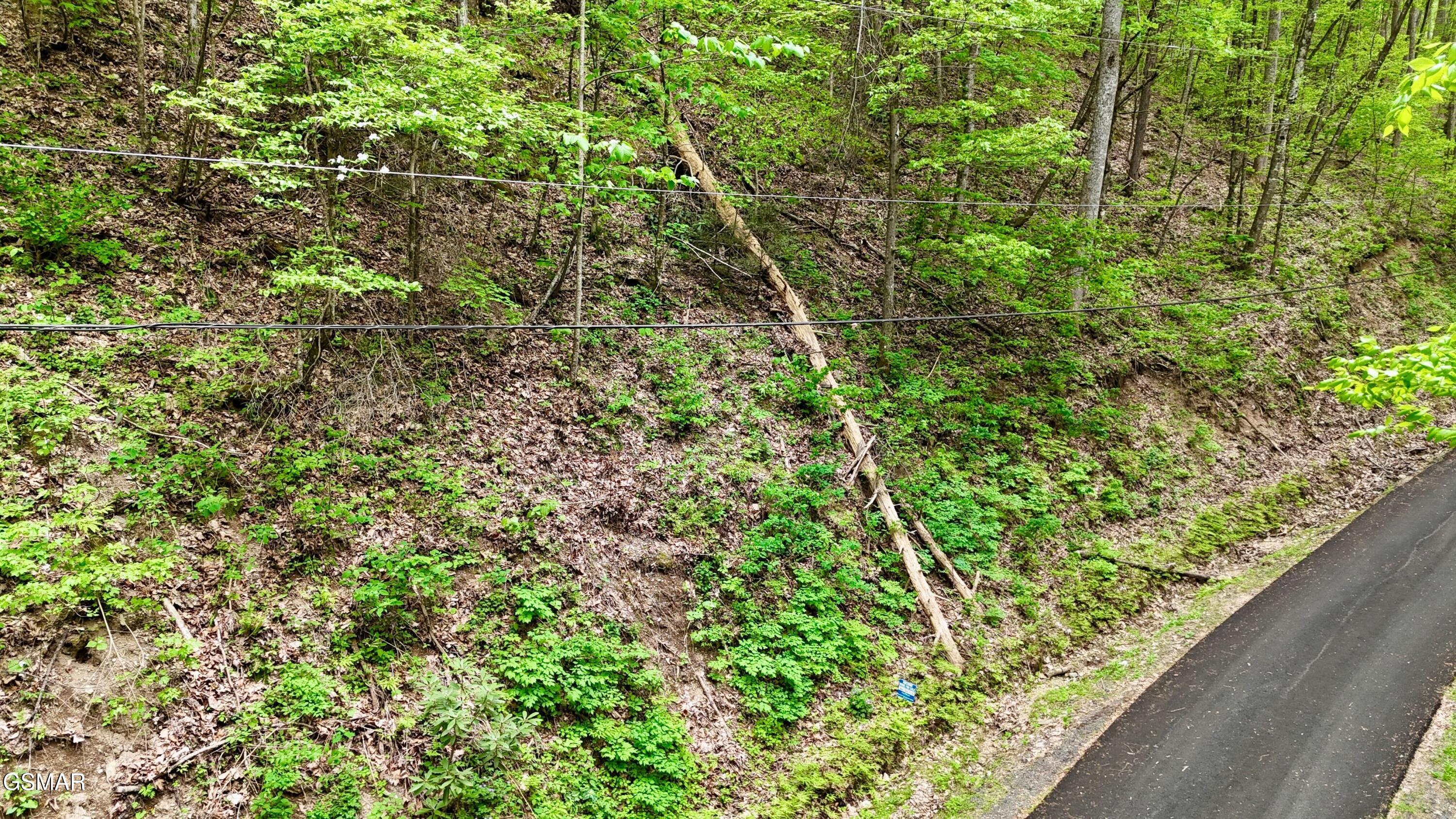 Lot 27 Black Walnut Flats Road Sevierville TN 37876