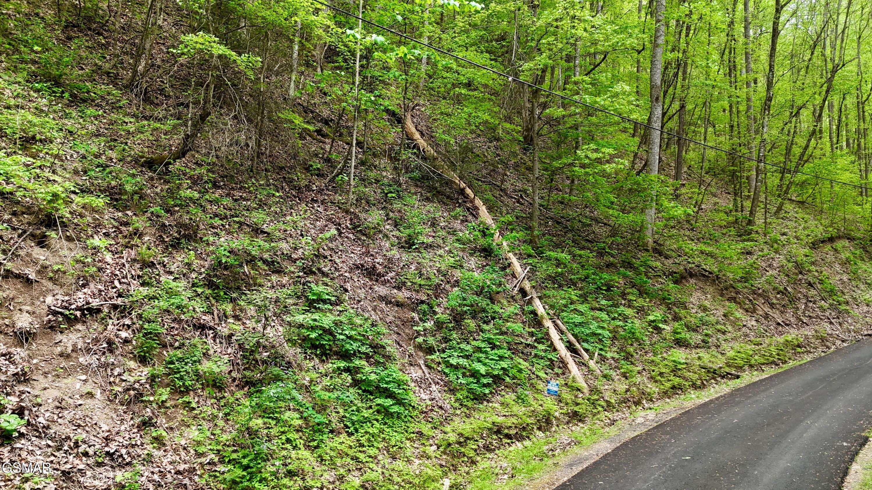 Lot 27 Black Walnut Flats Road Sevierville TN 37876